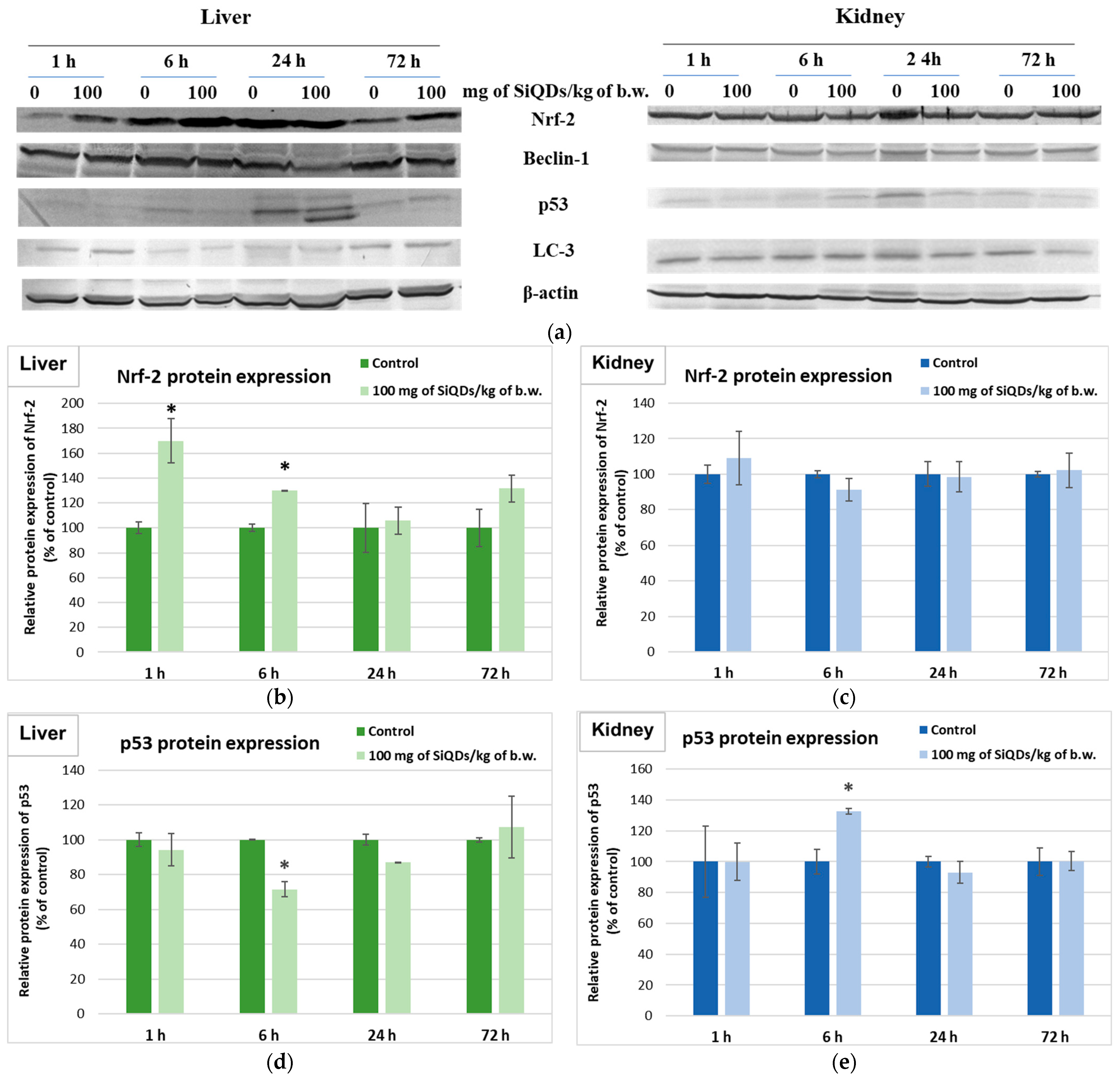 Nanomaterials 14 00457 g006a