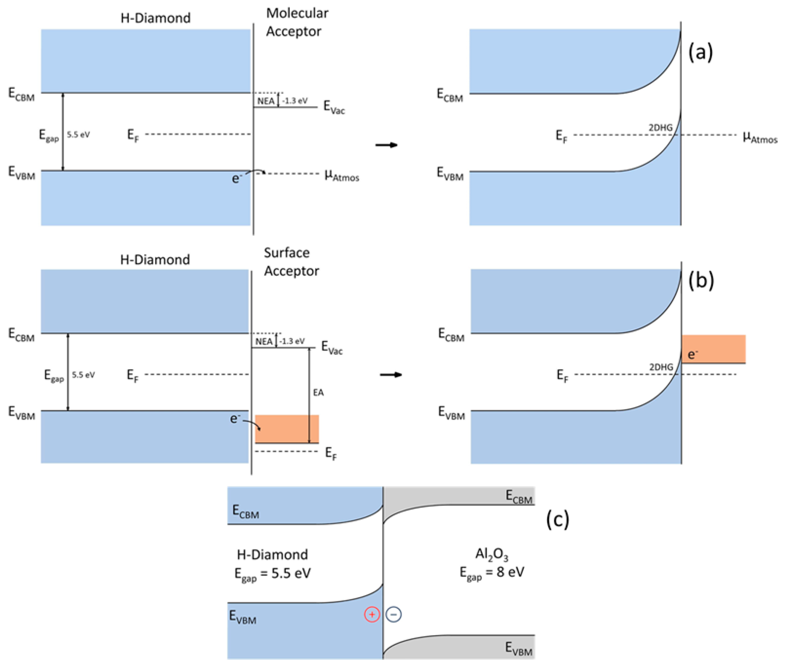Nanomaterials 14 00460 g008 Nanomaterials 14 00460 g008