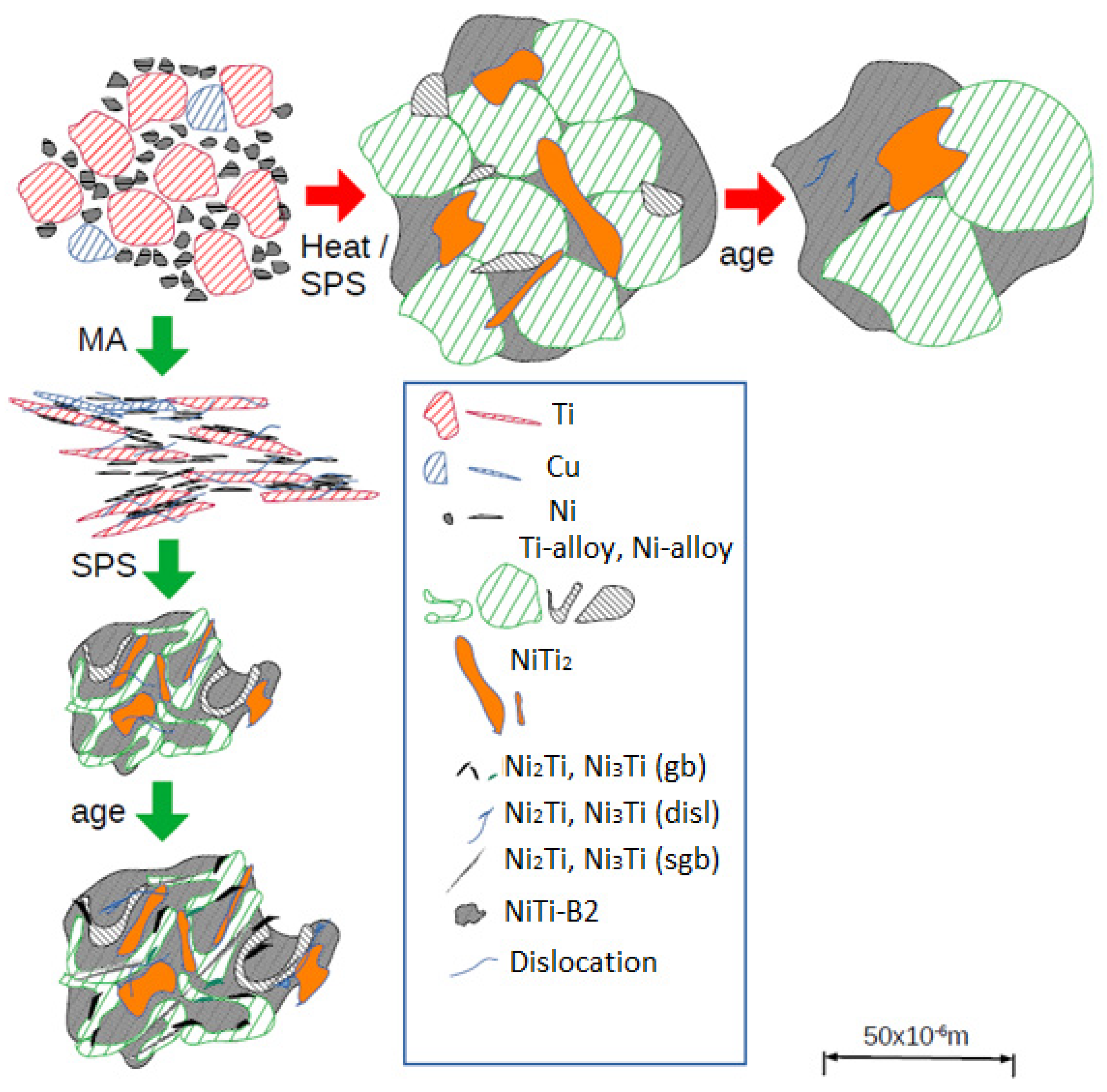 Nanomaterials 14 00461 g001