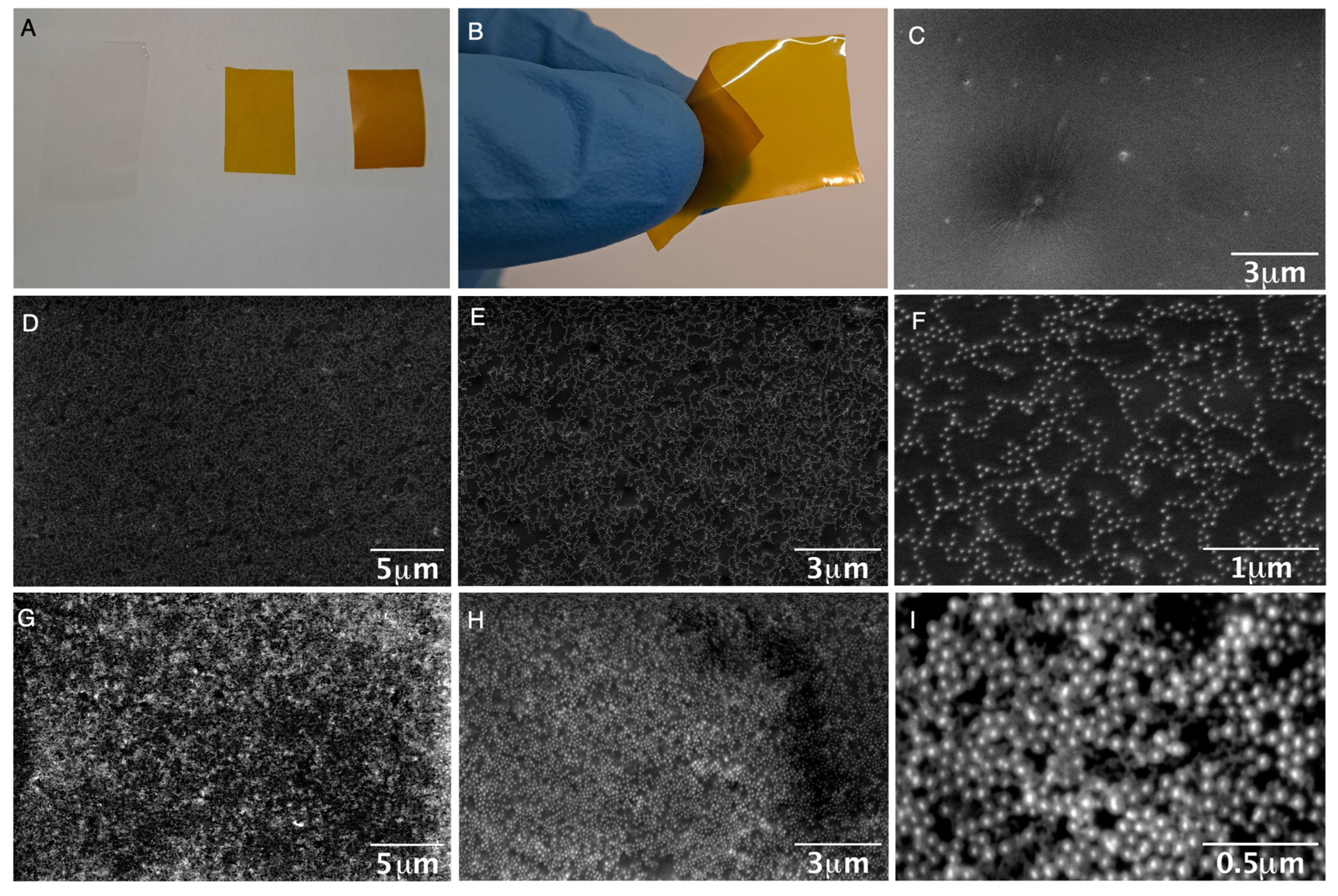 Nanomaterials 14 00462 g004