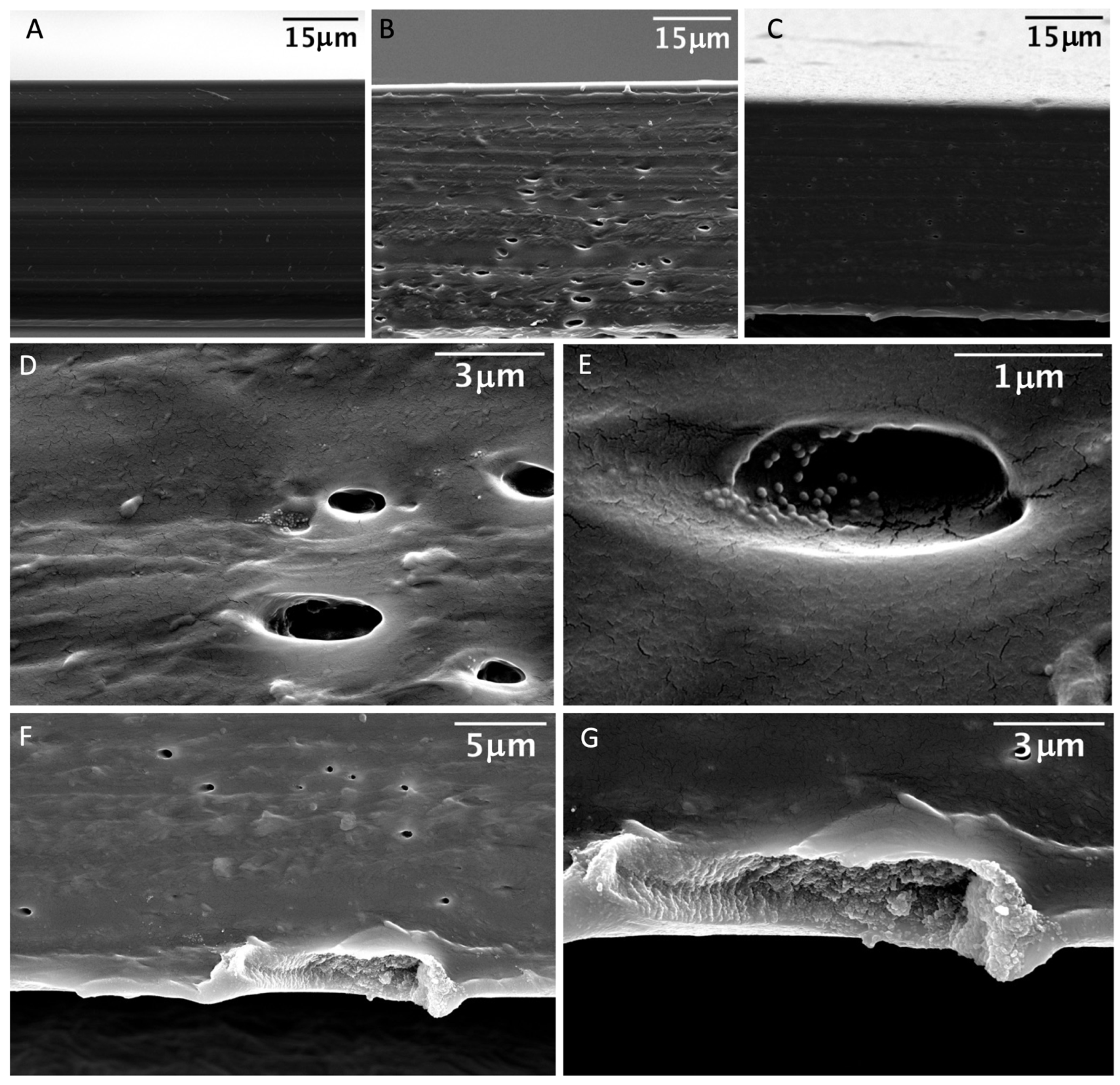 Nanomaterials 14 00462 g005