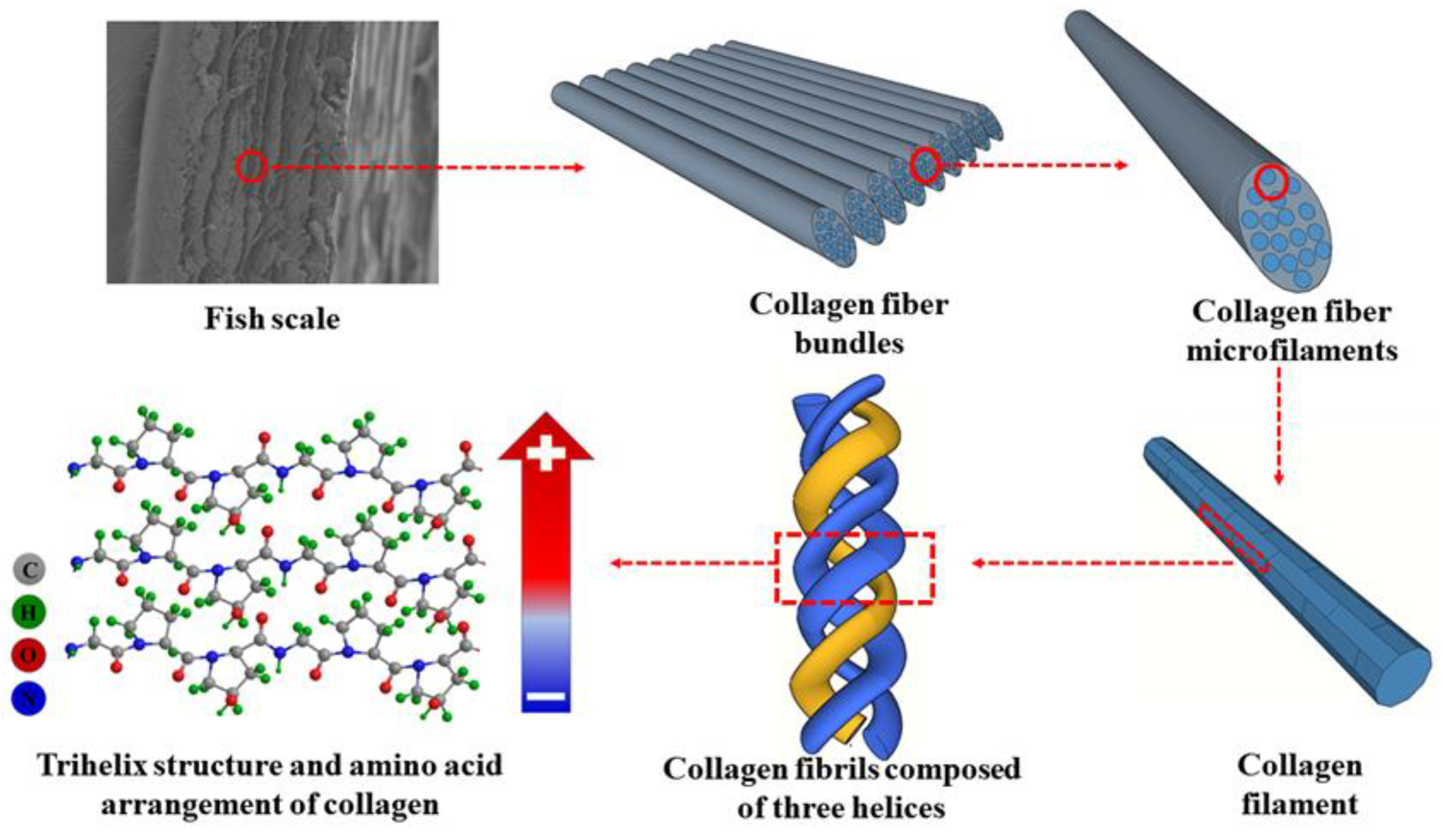 Nanomaterials 14 00463 g003
