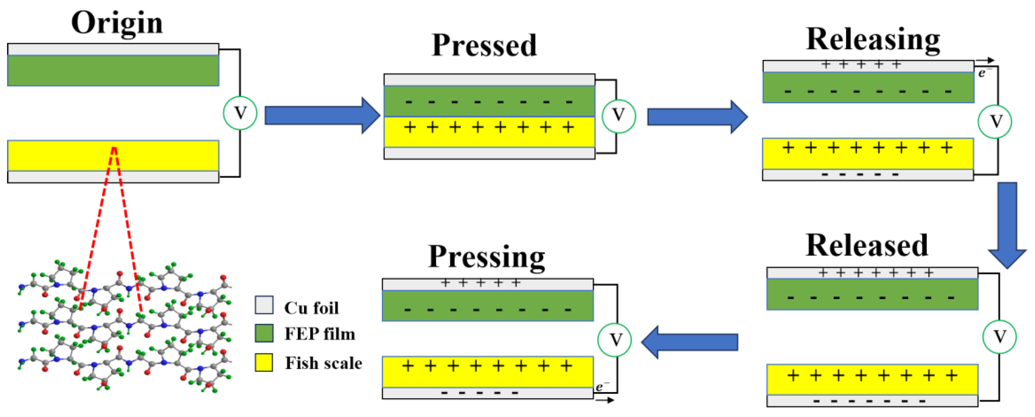 Nanomaterials 14 00463 g005