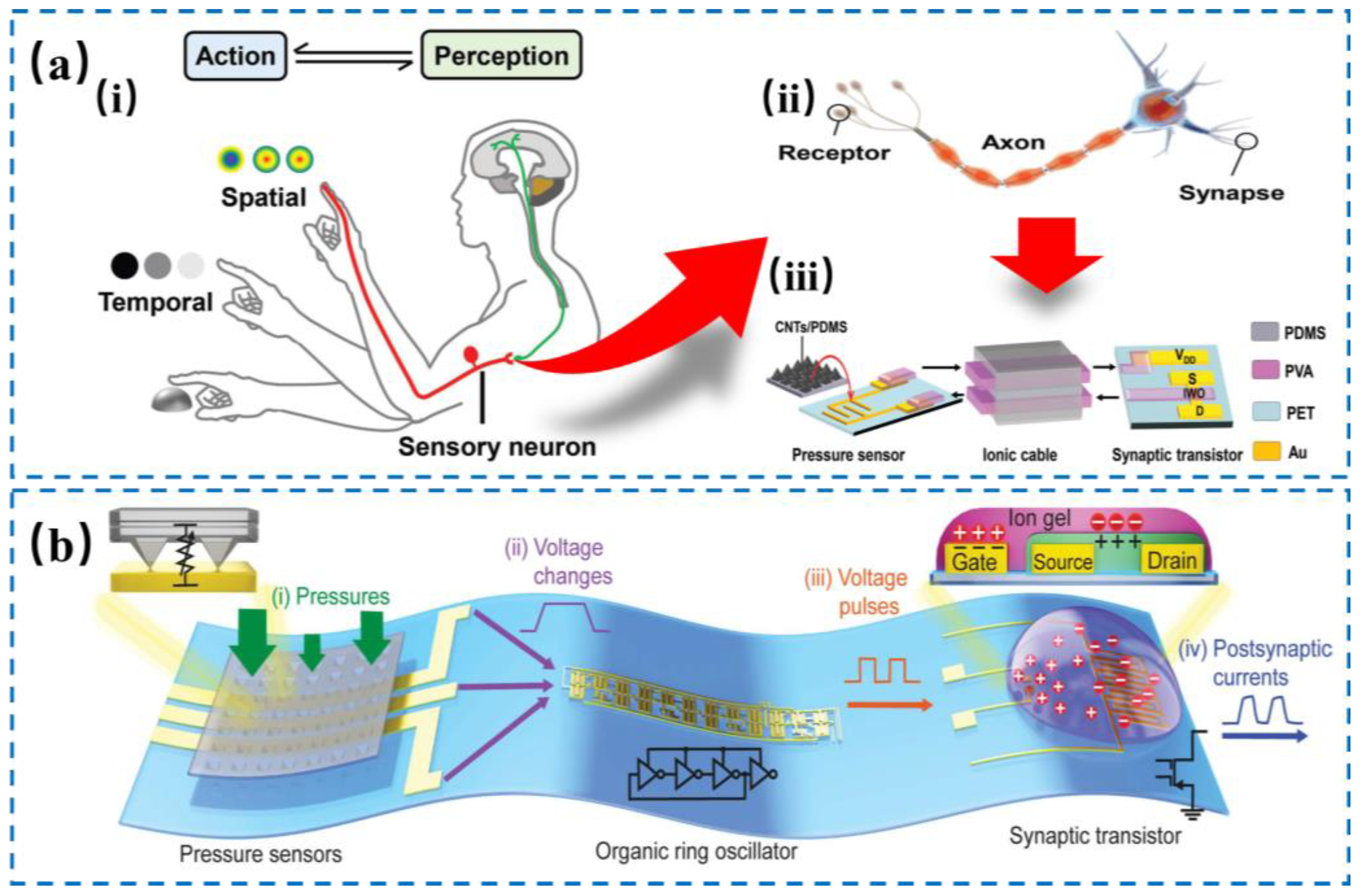 Nanomaterials 14 00465 g004