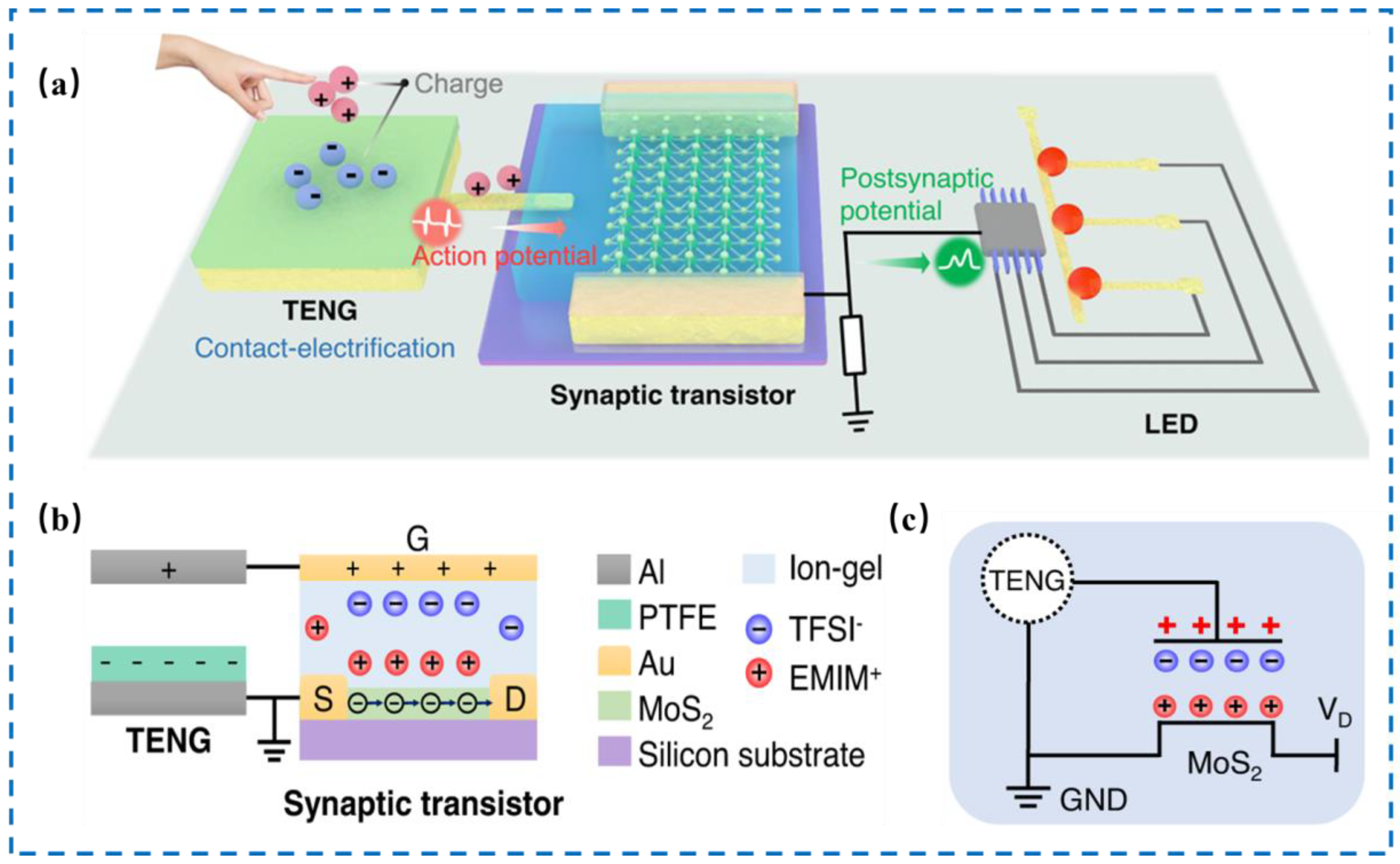 Nanomaterials 14 00465 g007