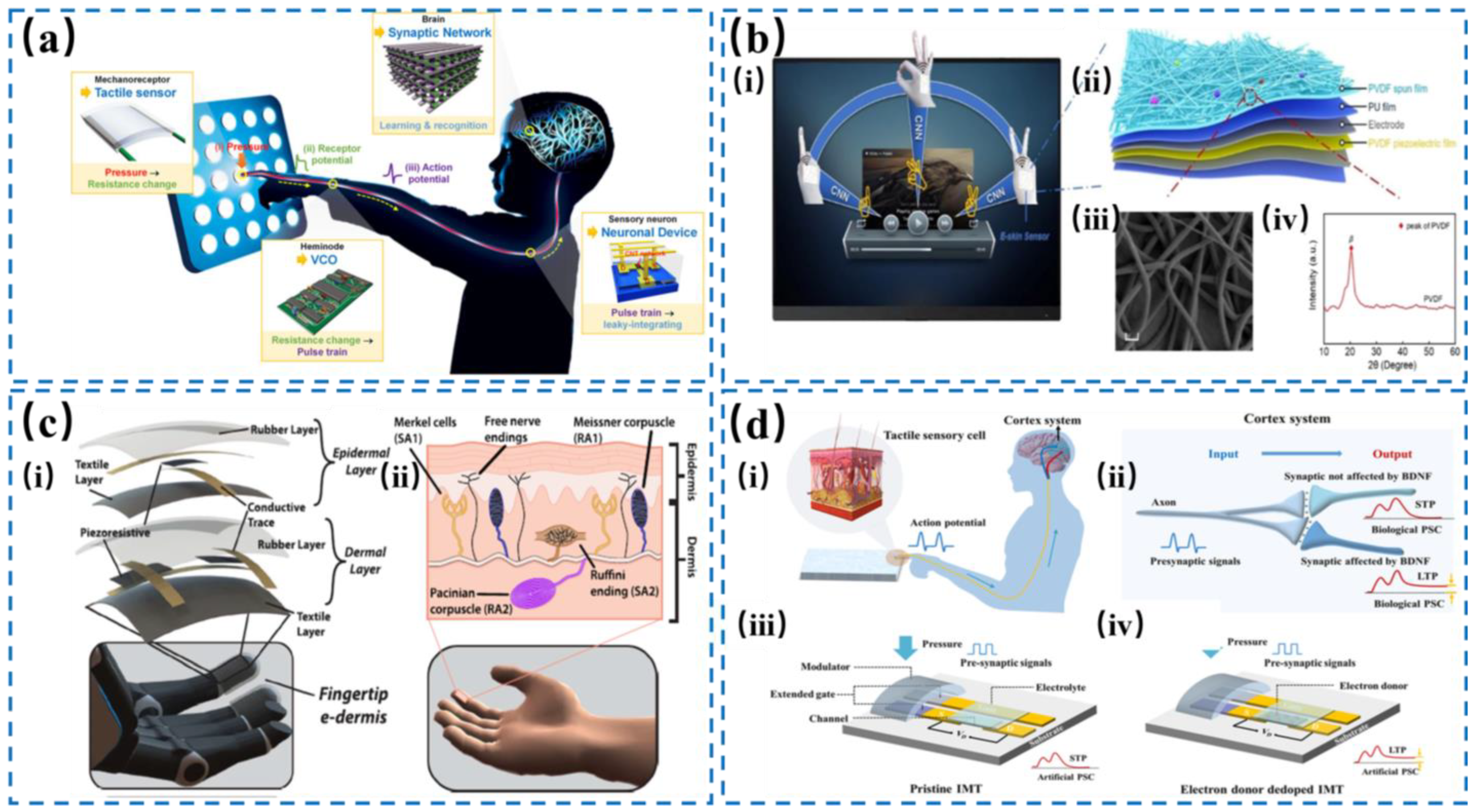 Nanomaterials 14 00465 g010
