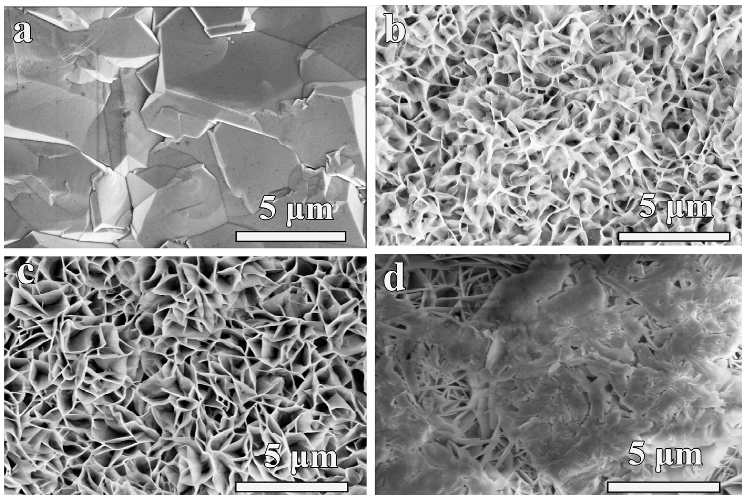 Nanomaterials 14 00474 g001