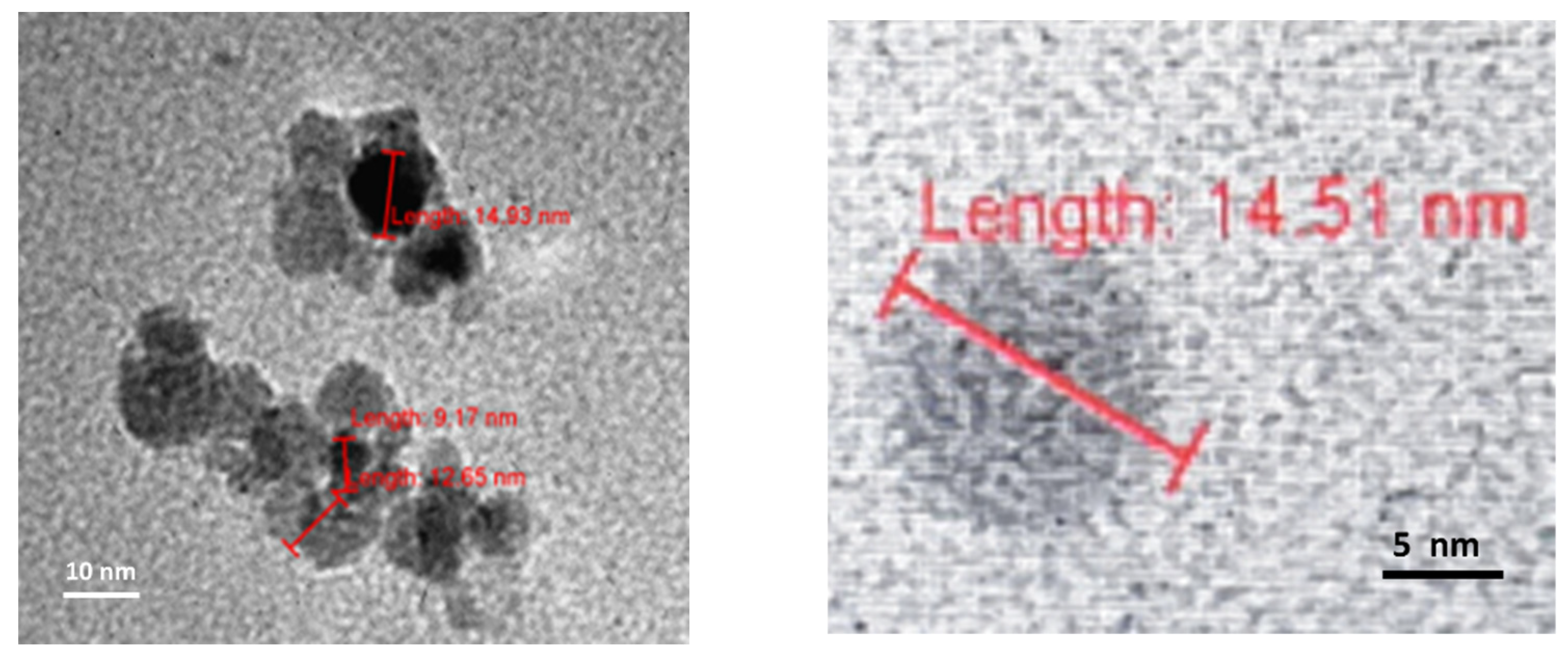 Nanomaterials 14 00480 g006