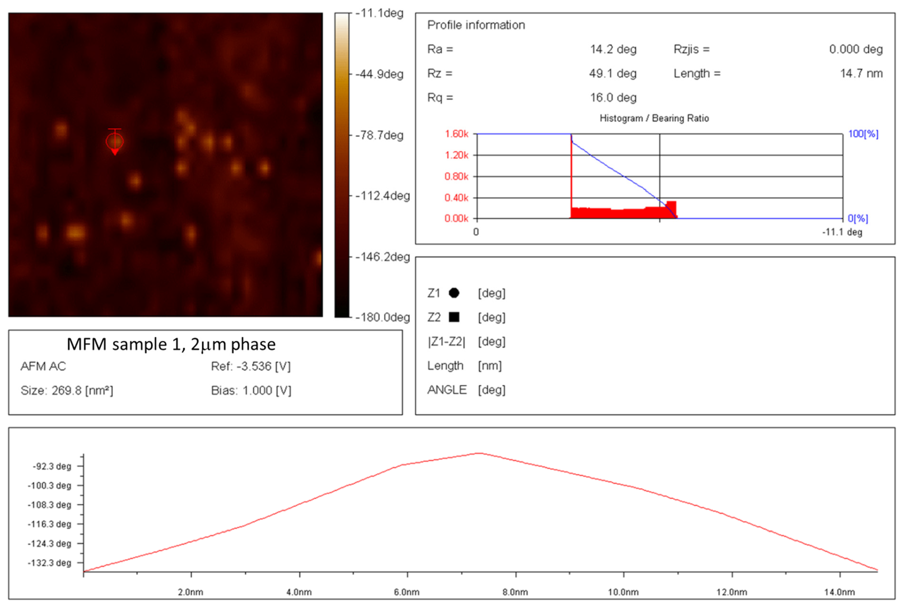 Nanomaterials 14 00480 g010