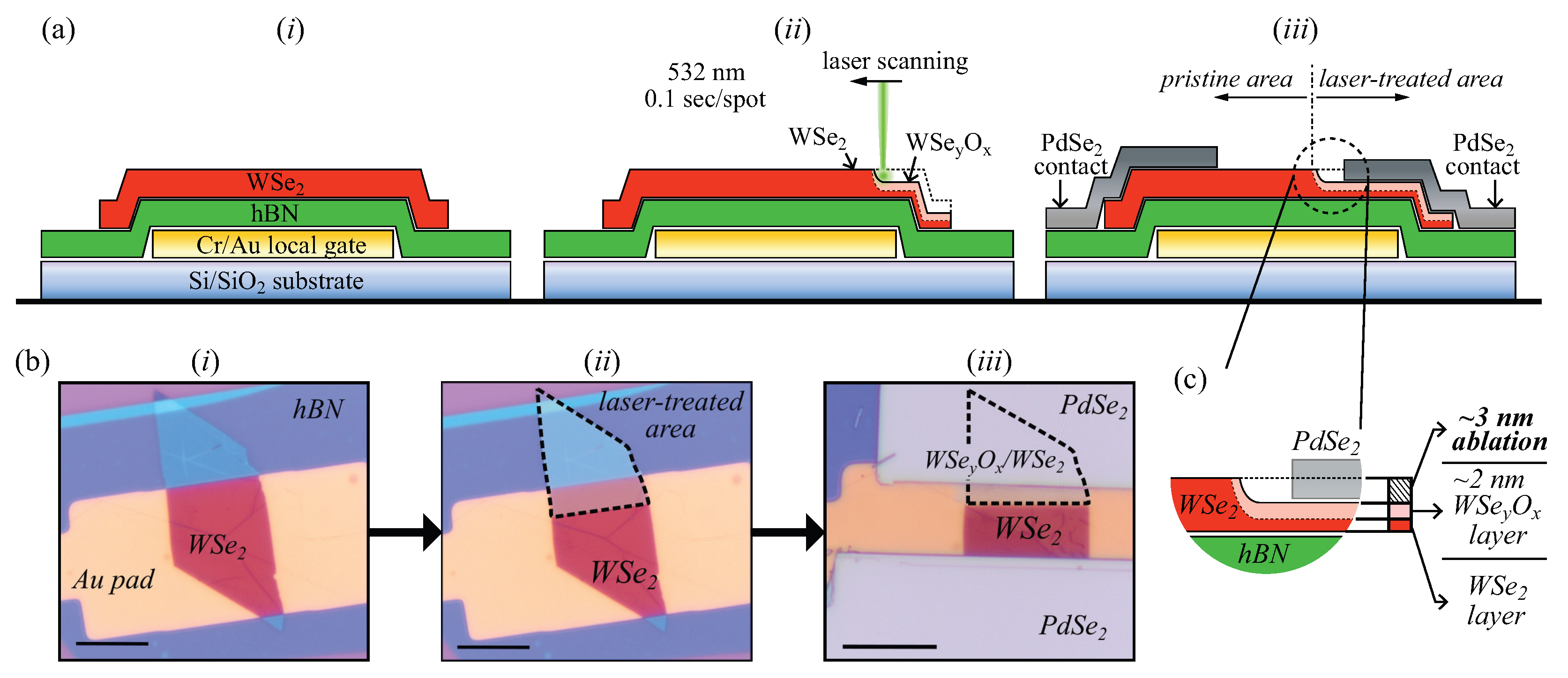 Nanomaterials 14 00481 g003
