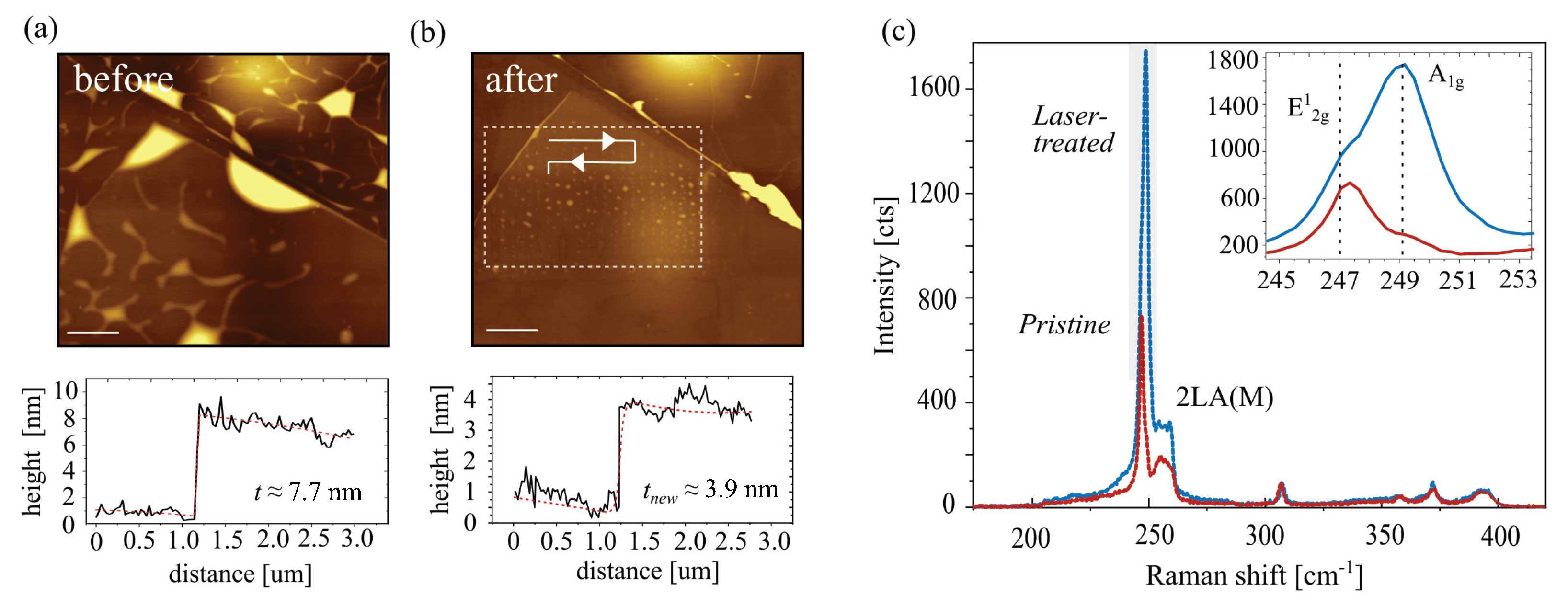 Nanomaterials 14 00481 g004