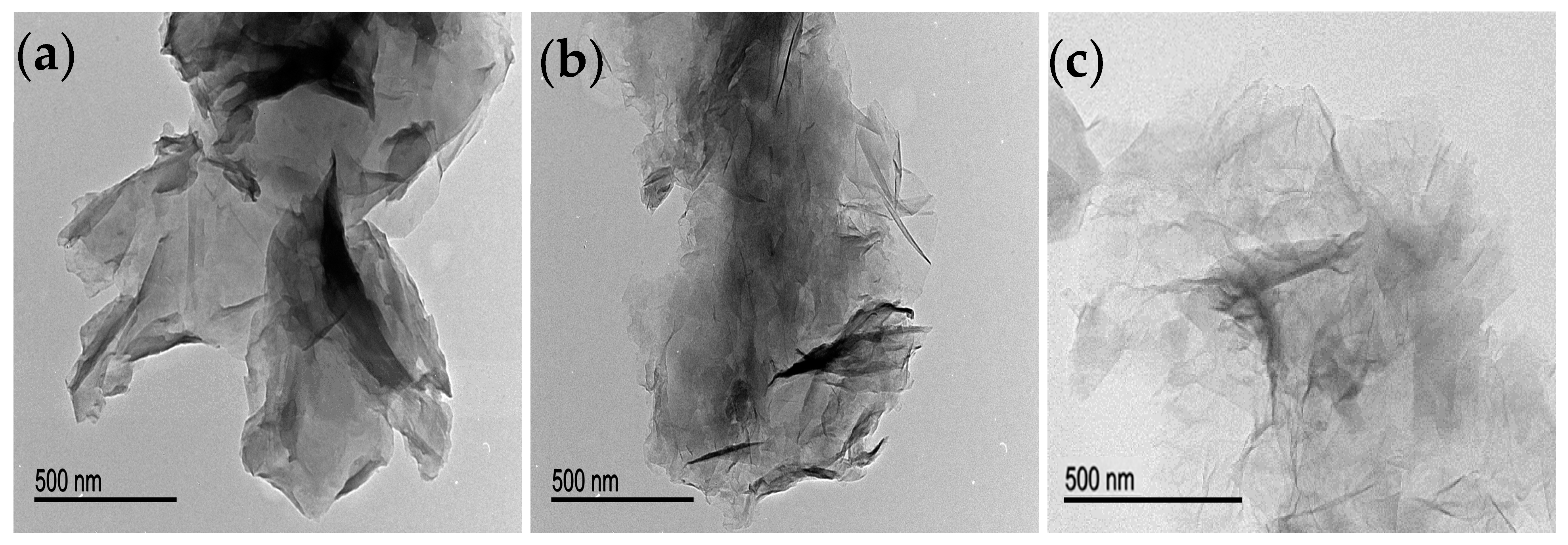 Nanomaterials 14 00489 g002