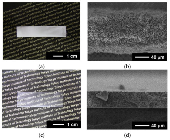 Structure–Piezoelectric Property Relationships of Thin Films Composed ...