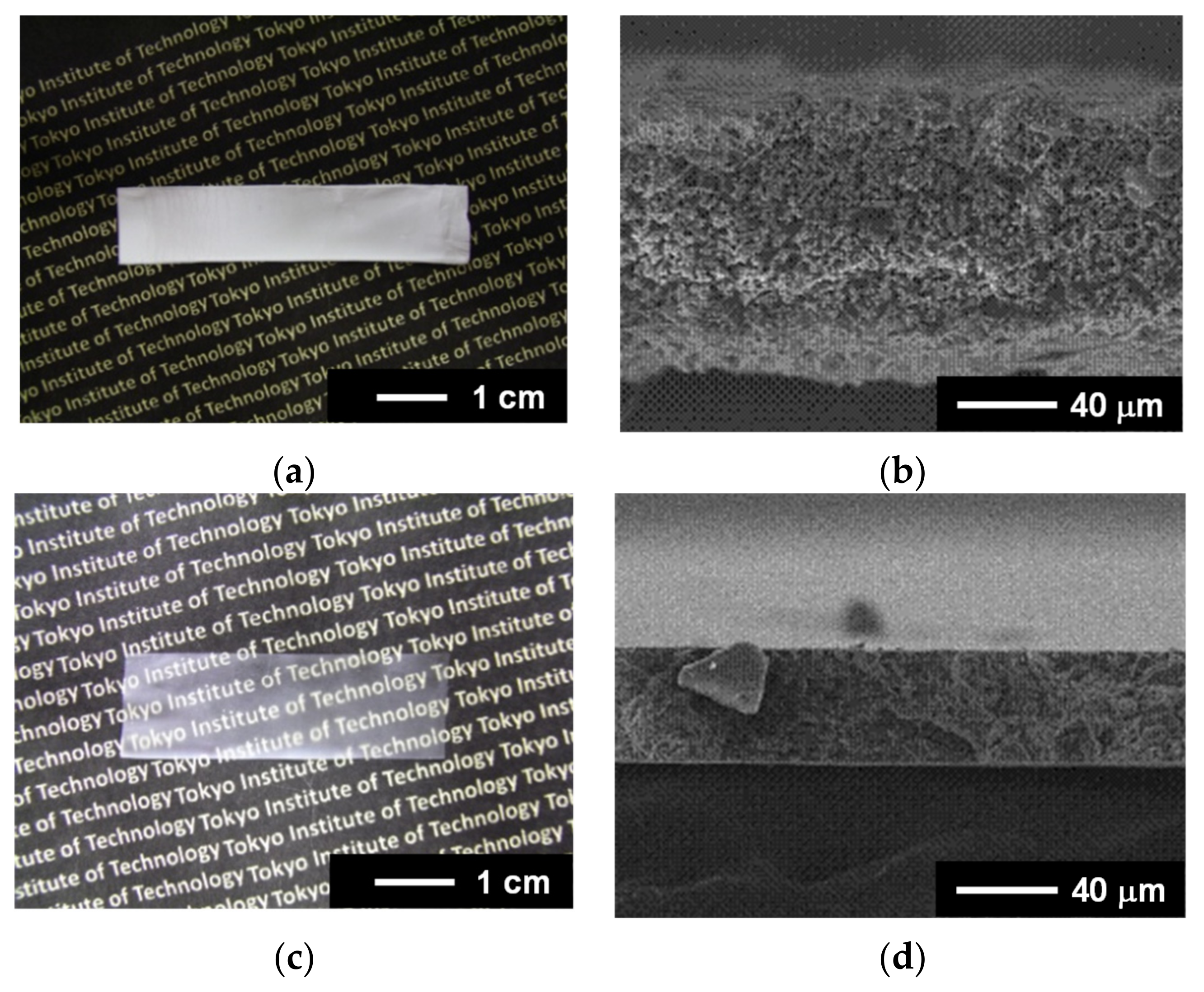 Nanomaterials 14 00491 g003