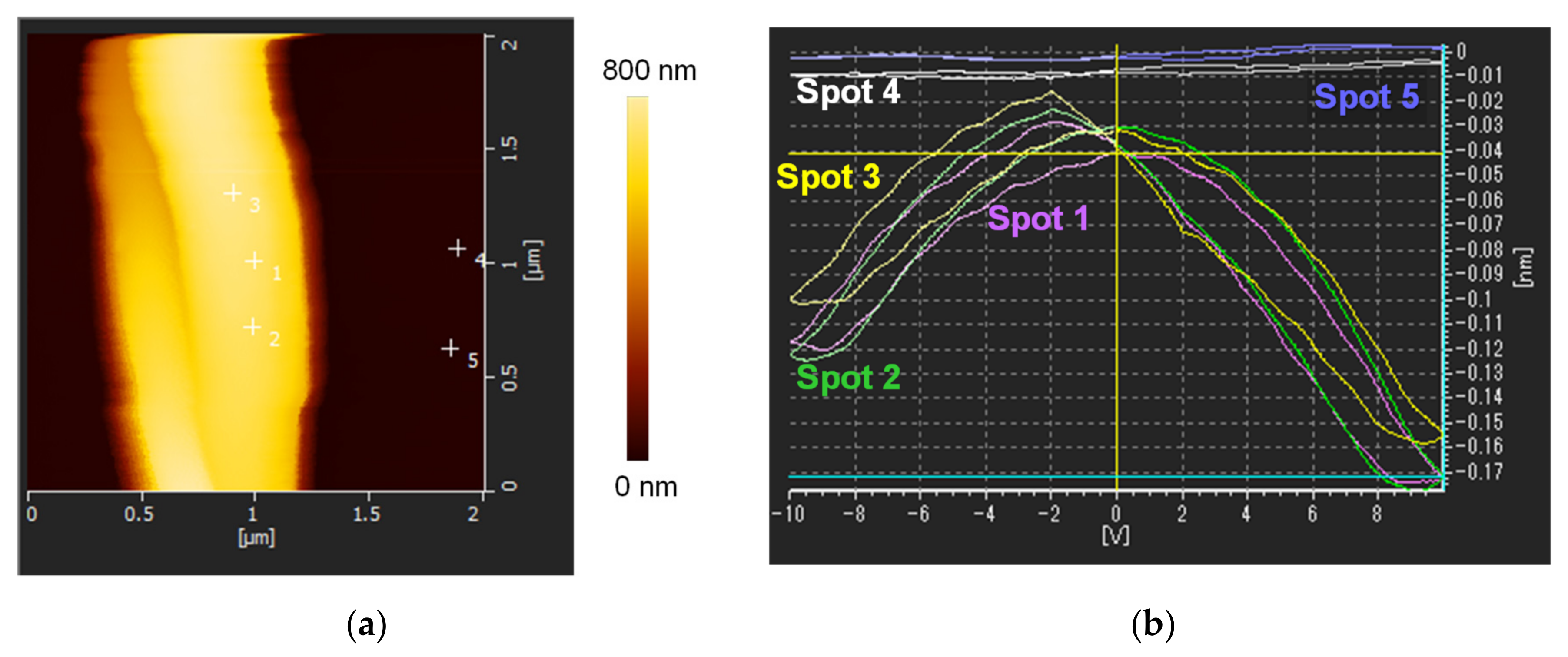 Nanomaterials 14 00491 g006
