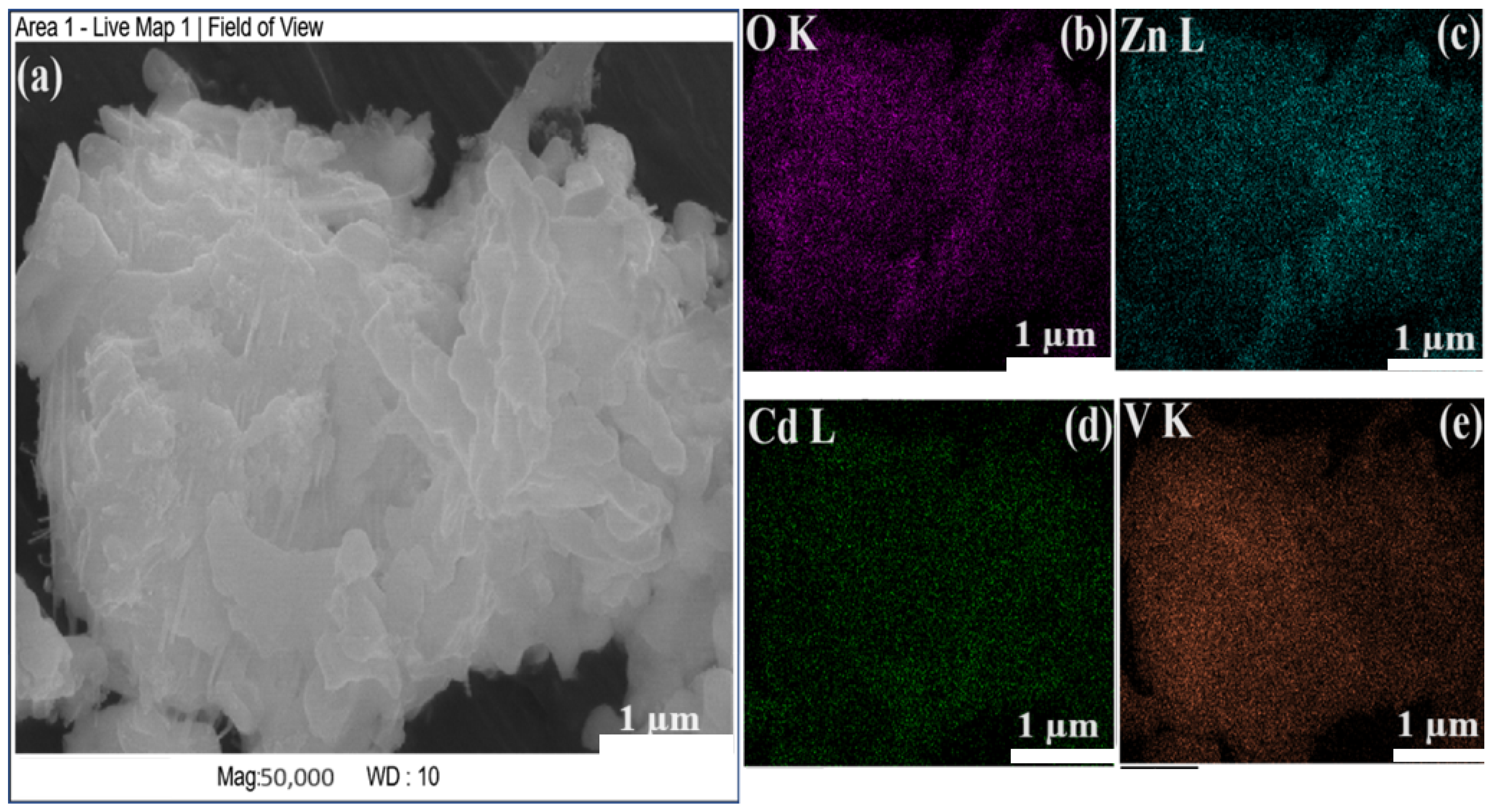 Nanomaterials 14 00492 g004