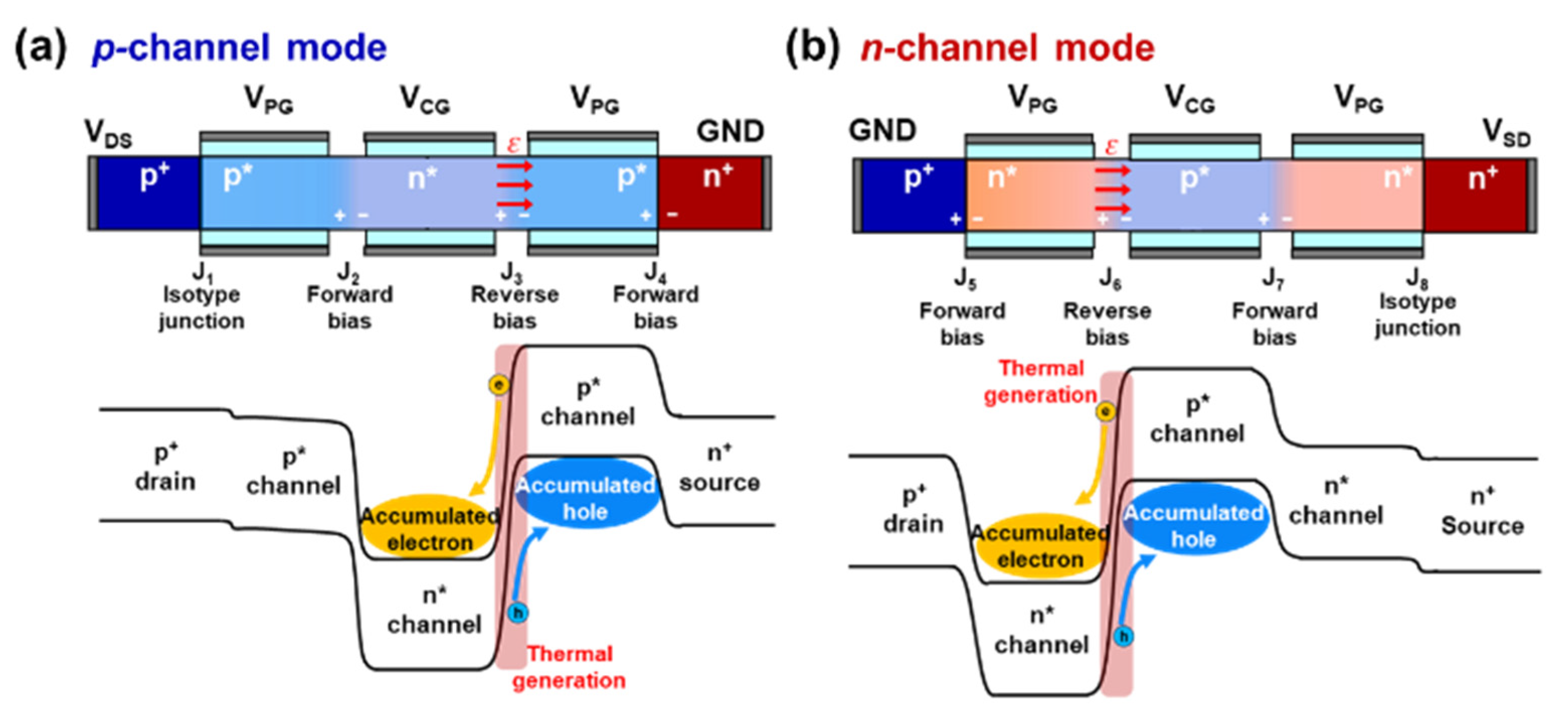 Nanomaterials 14 00493 g004