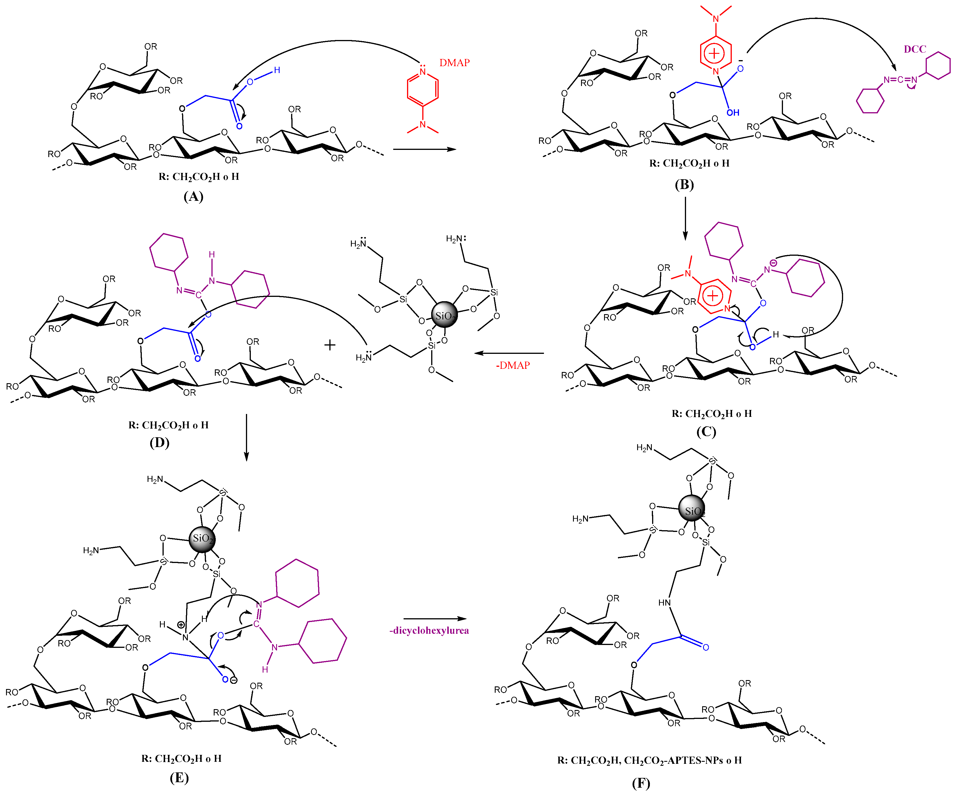 Nanomaterials 14 00499 g002