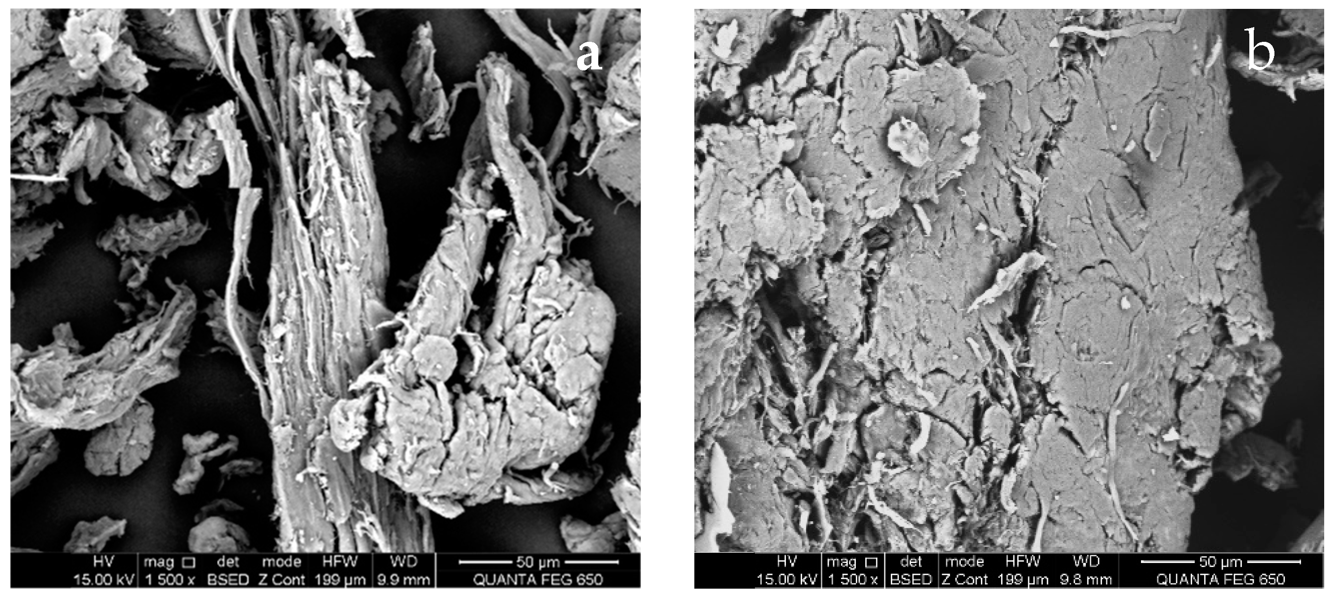 Nanomaterials 14 00499 g007