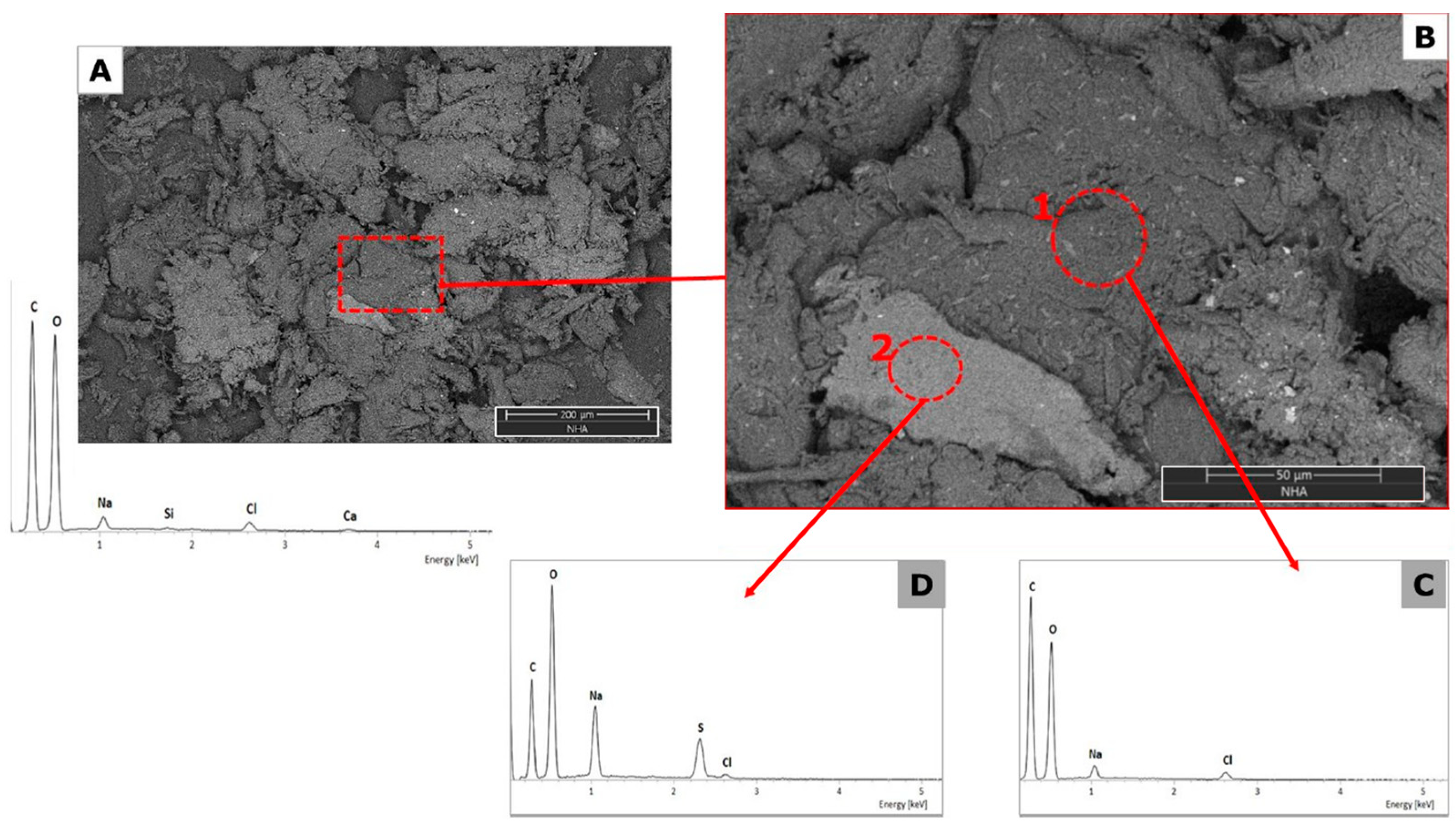 Nanomaterials 14 00499 g008