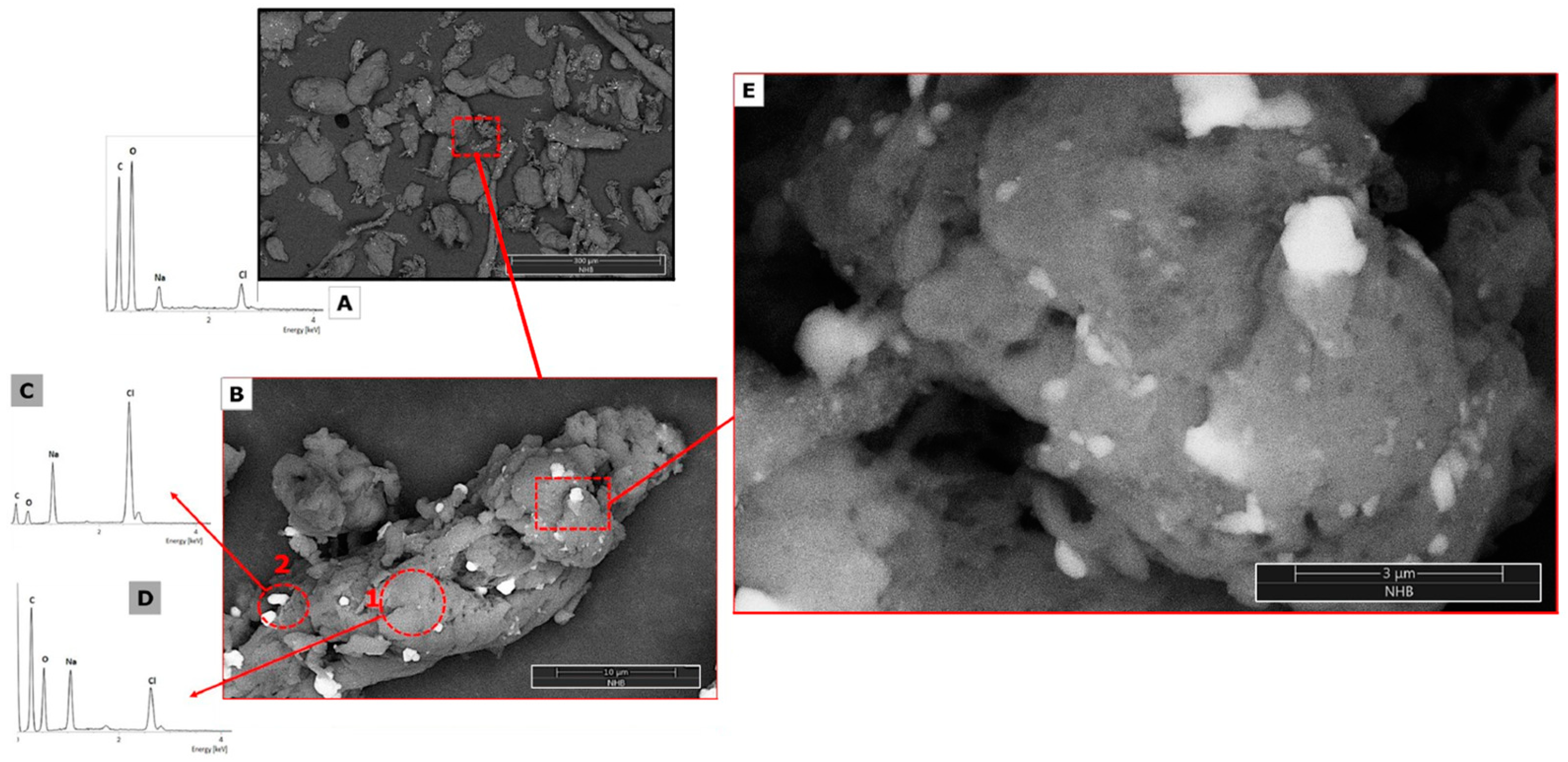 Nanomaterials 14 00499 g009