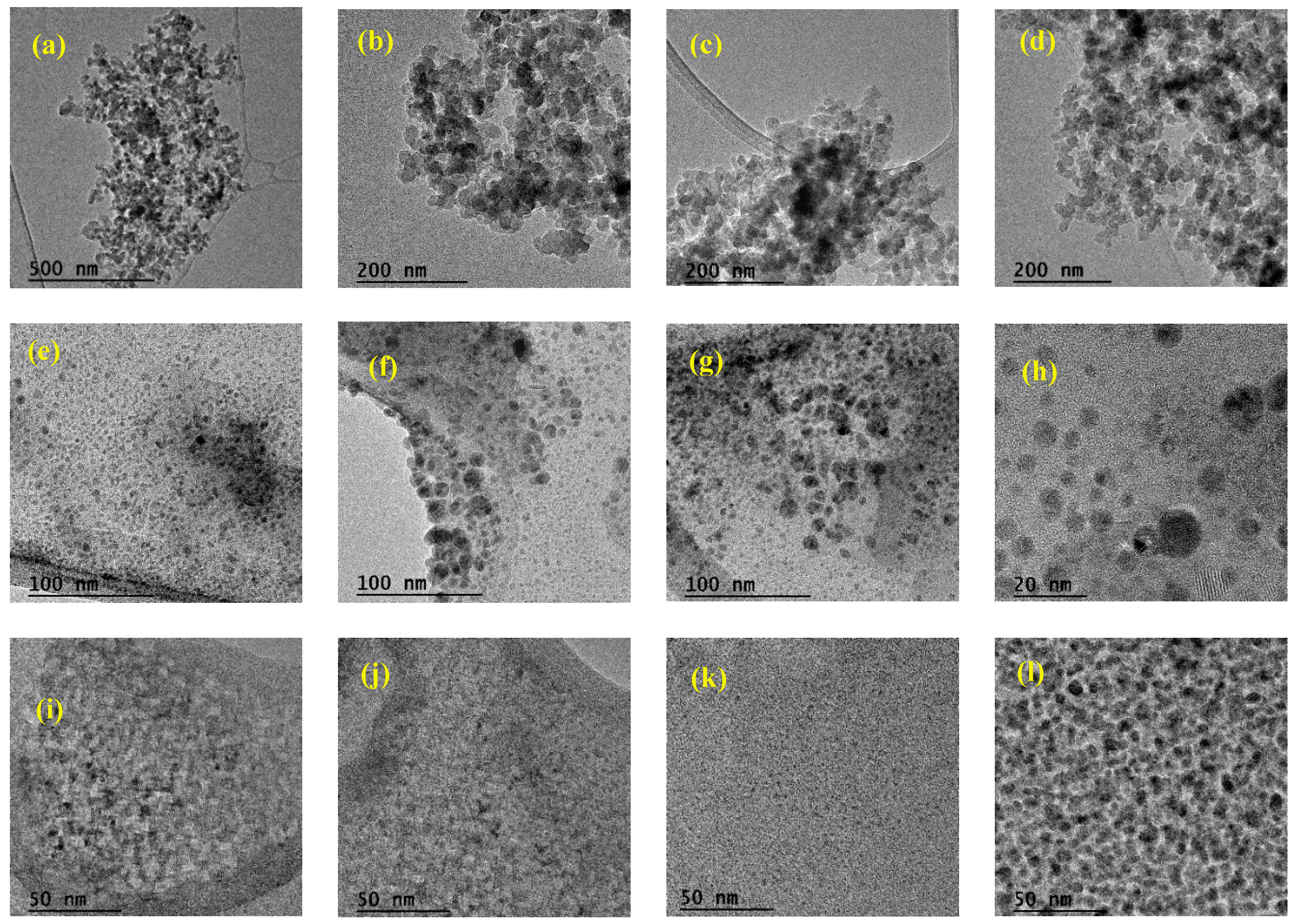 Nanomaterials 14 00499 g010