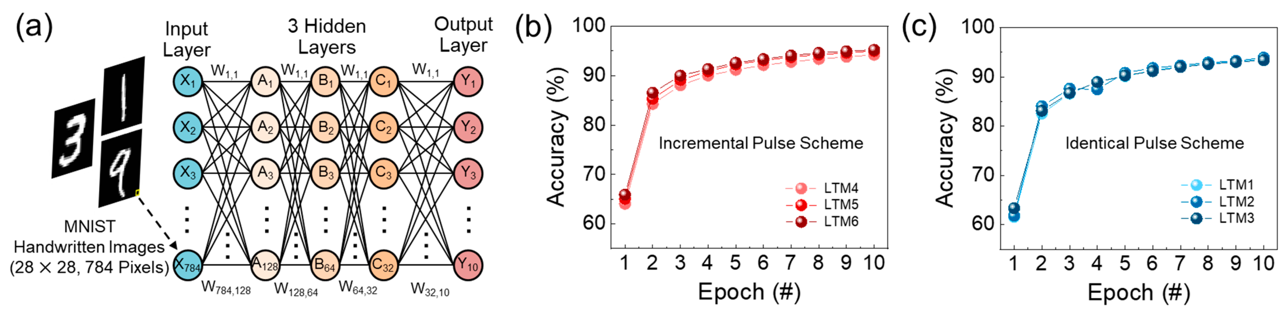 Nanomaterials 14 00506 g008