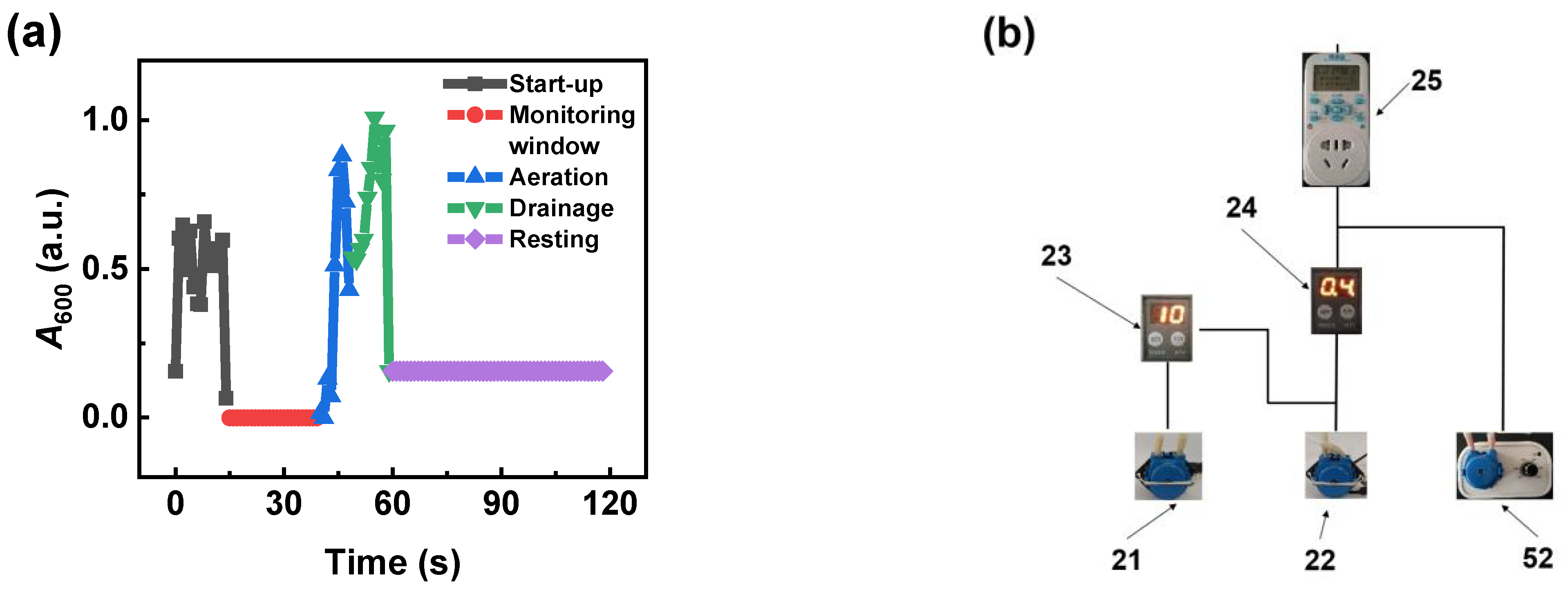 Nanomaterials 14 00508 g004