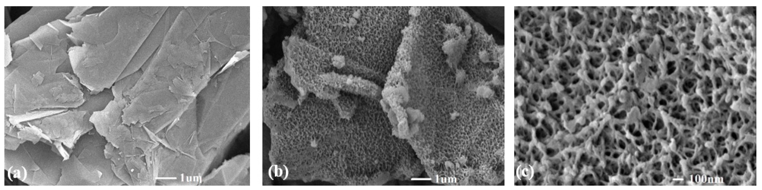 Nanomaterials 14 00509 g002