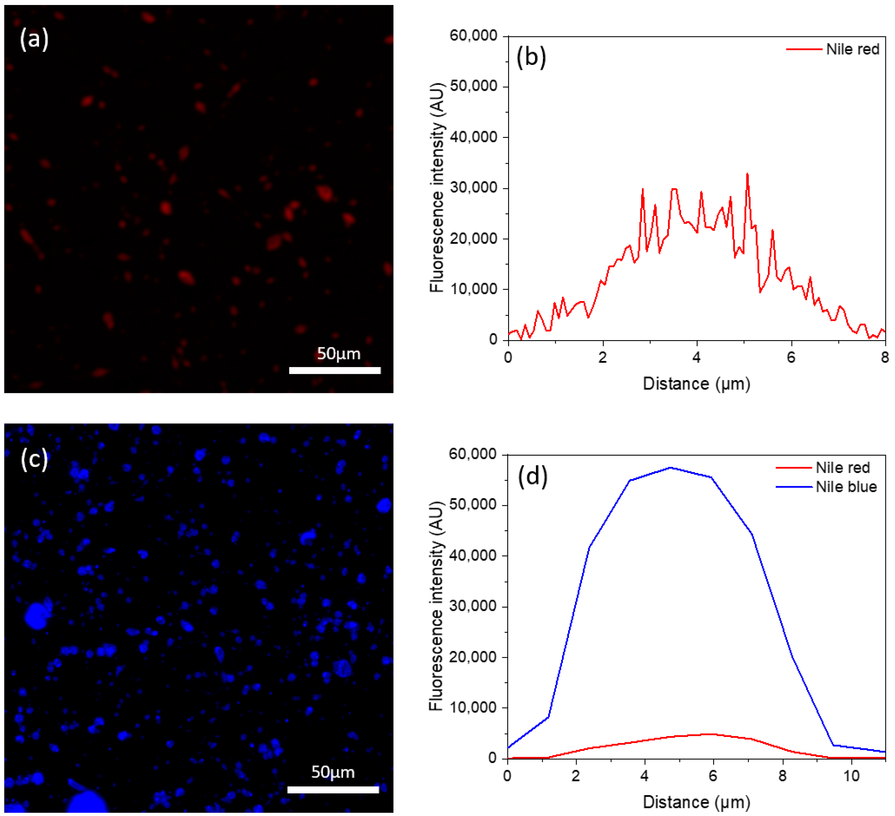 Nanomaterials 14 00510 g002