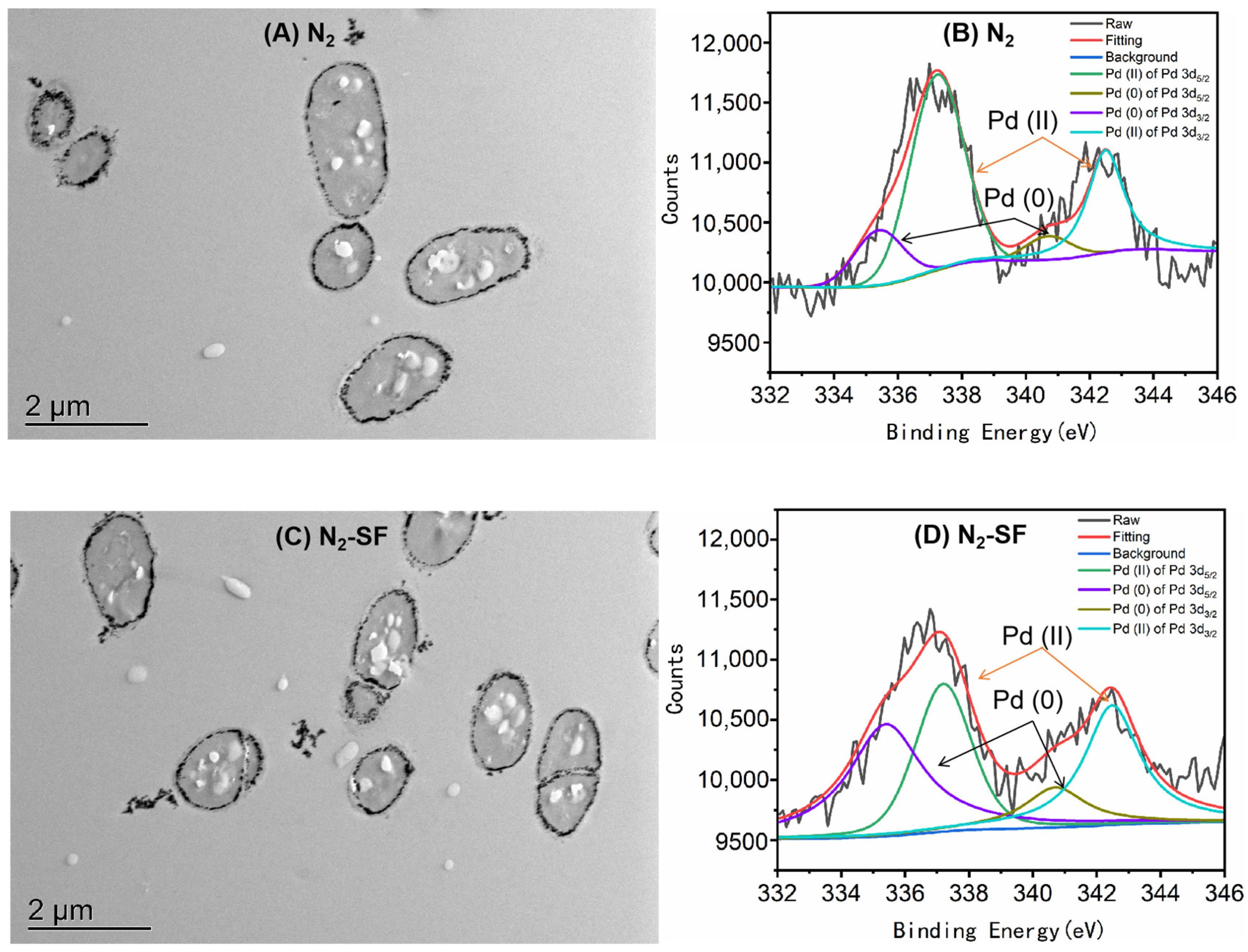 Nanomaterials 14 00512 g001