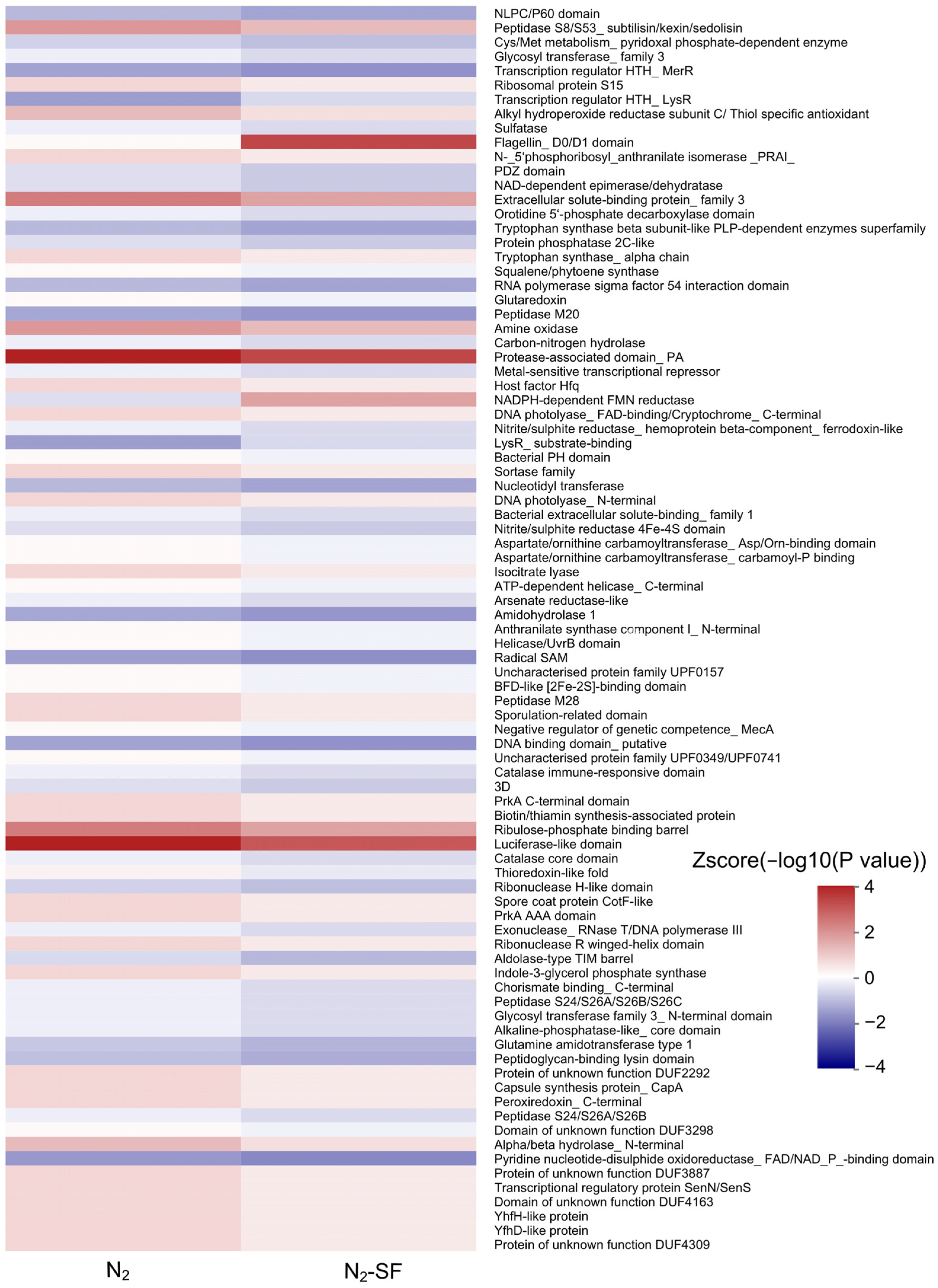 Nanomaterials 14 00512 g007