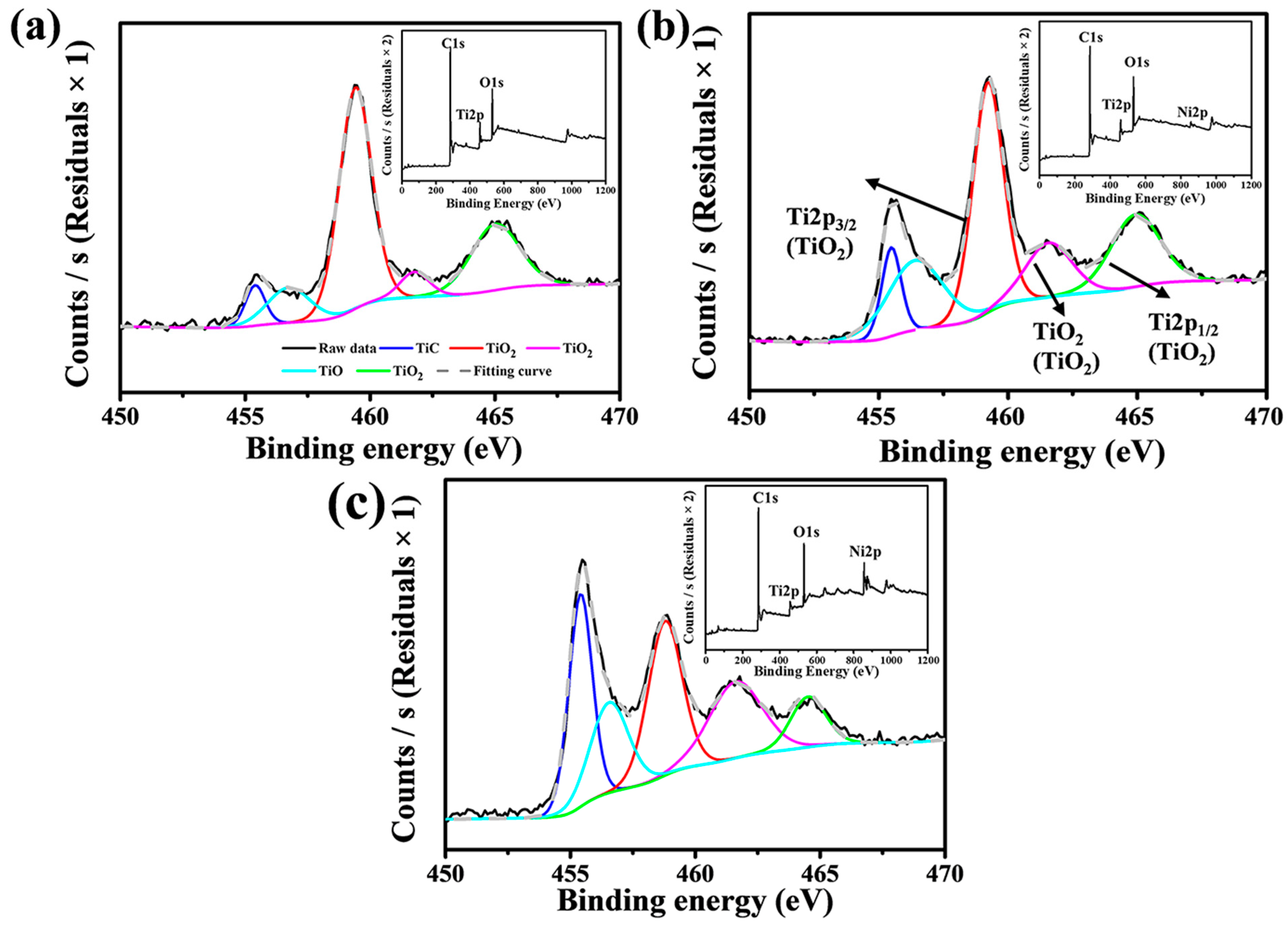 Nanomaterials 14 00515 g003