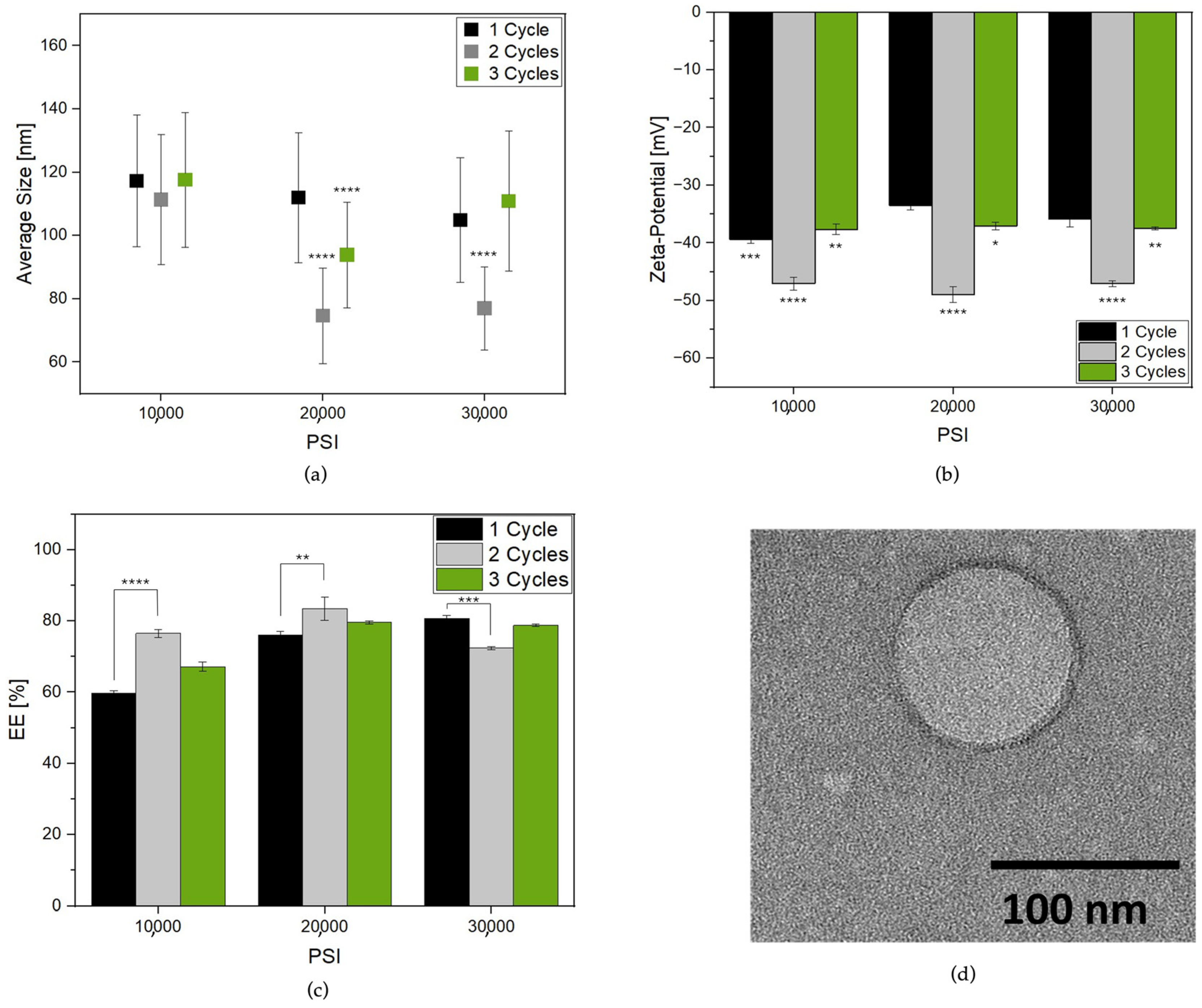 Nanomaterials 14 00516 g001