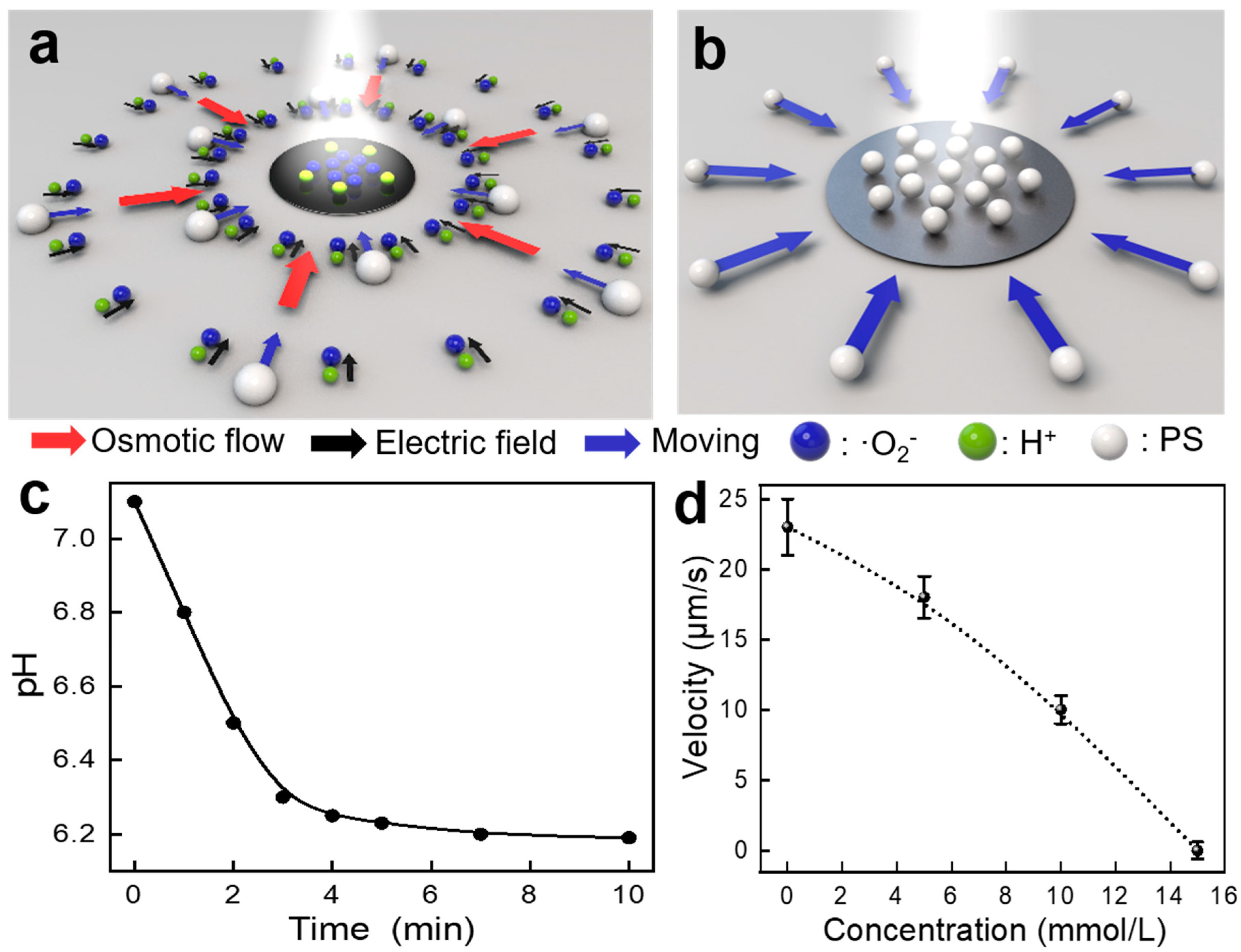 Nanomaterials 14 00517 g003
