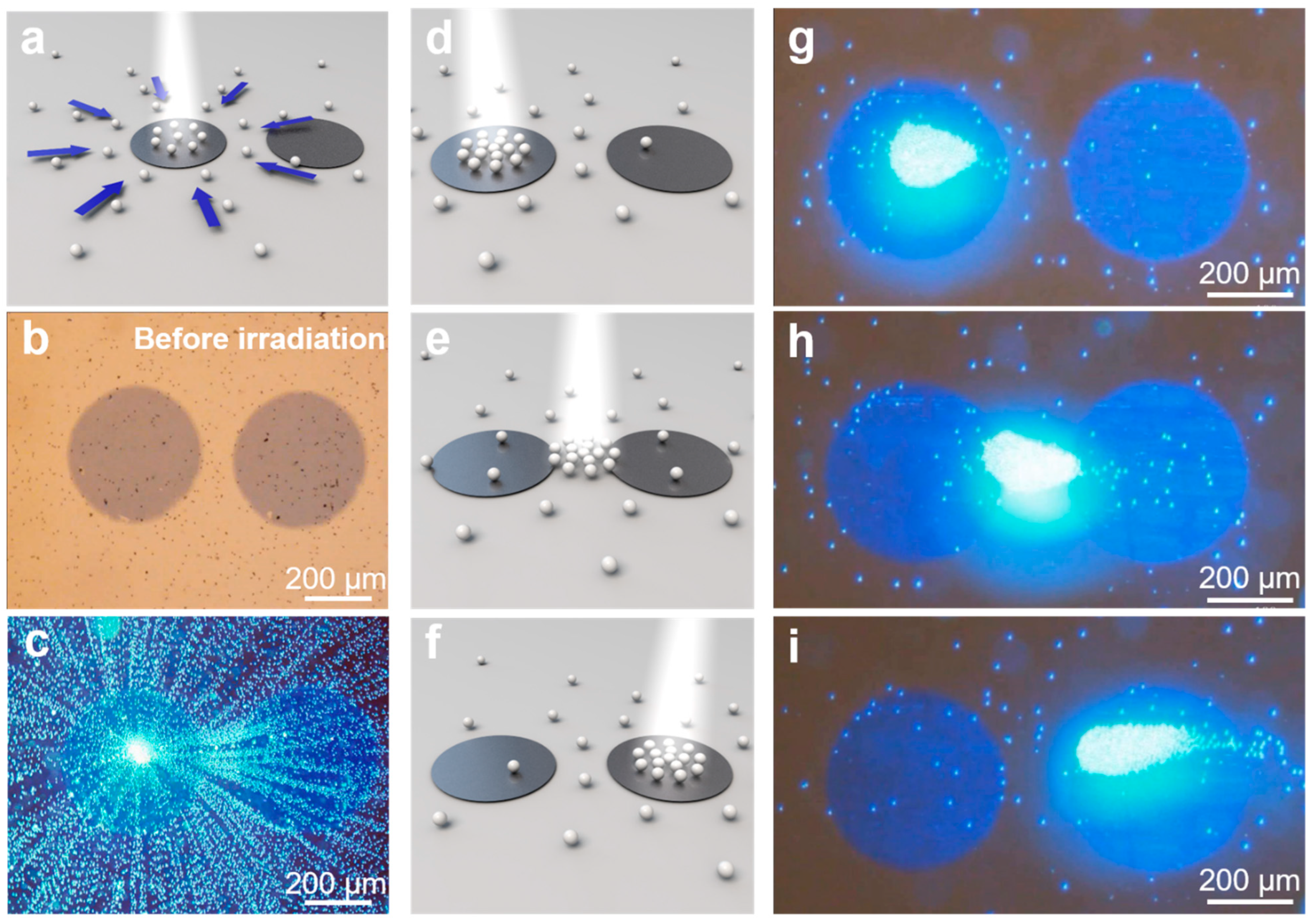 A Light-Powered Micropump with Dynamic Collective Behavior