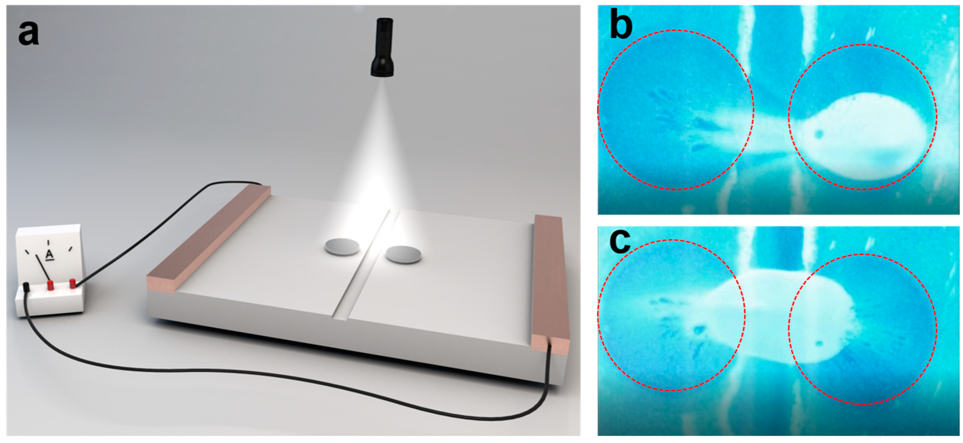 Nanomaterials 14 00517 g005