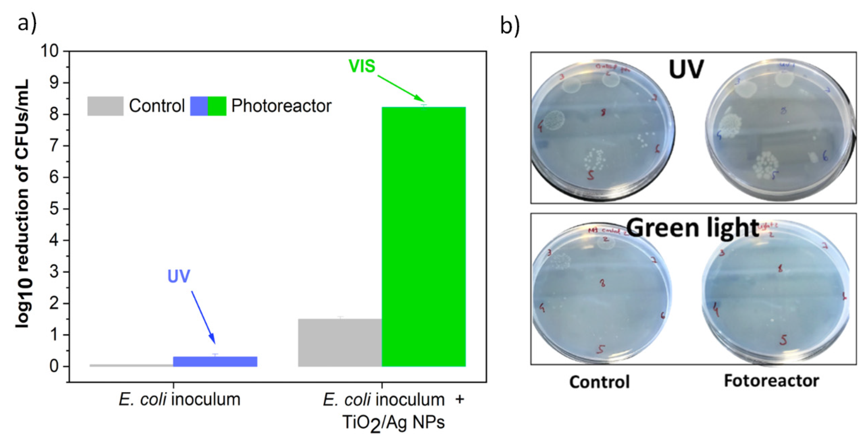 Nanomaterials 14 00525 g007