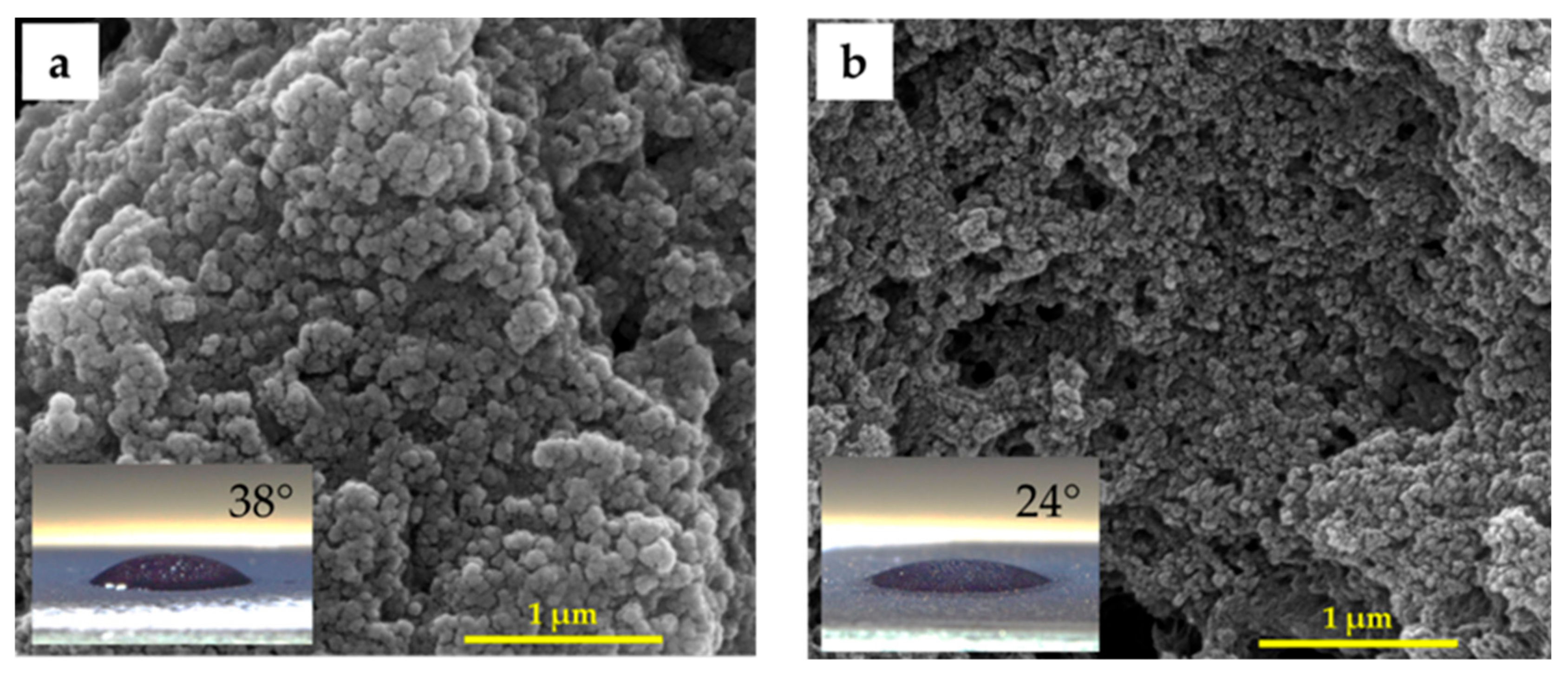 Nanomaterials 14 00526 g003