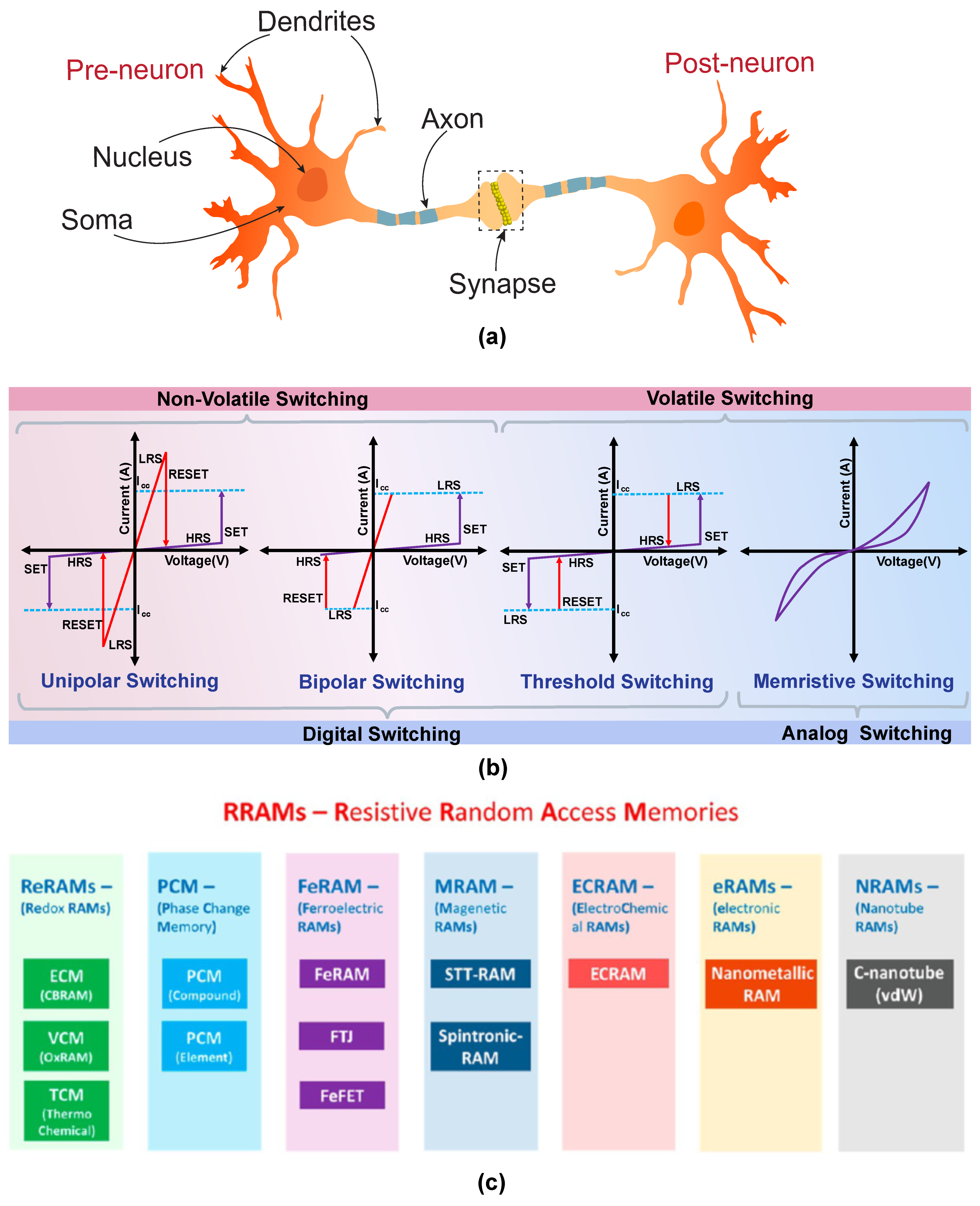 Nanomaterials 14 00527 g002