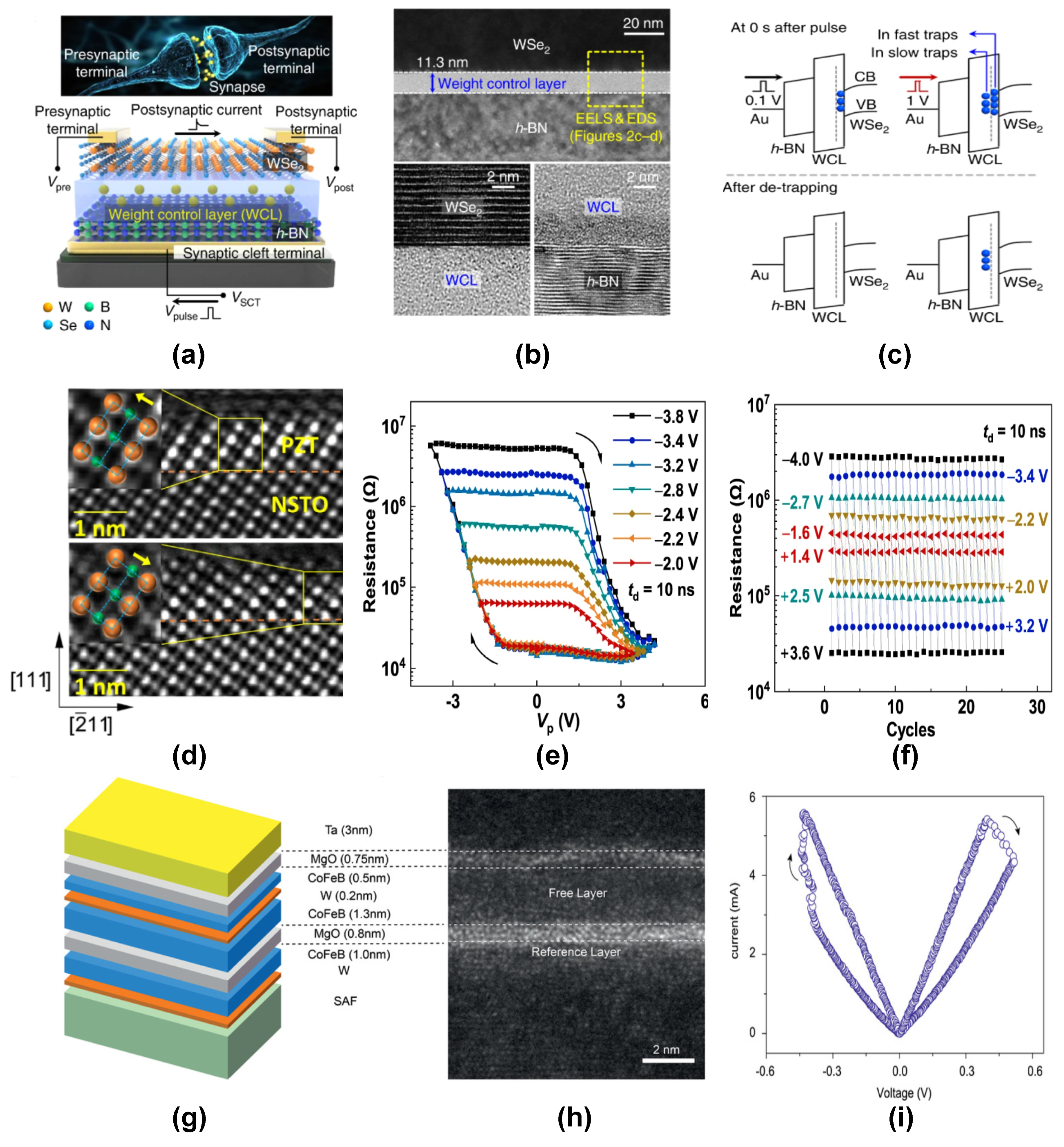 Nanomaterials 14 00527 g004
