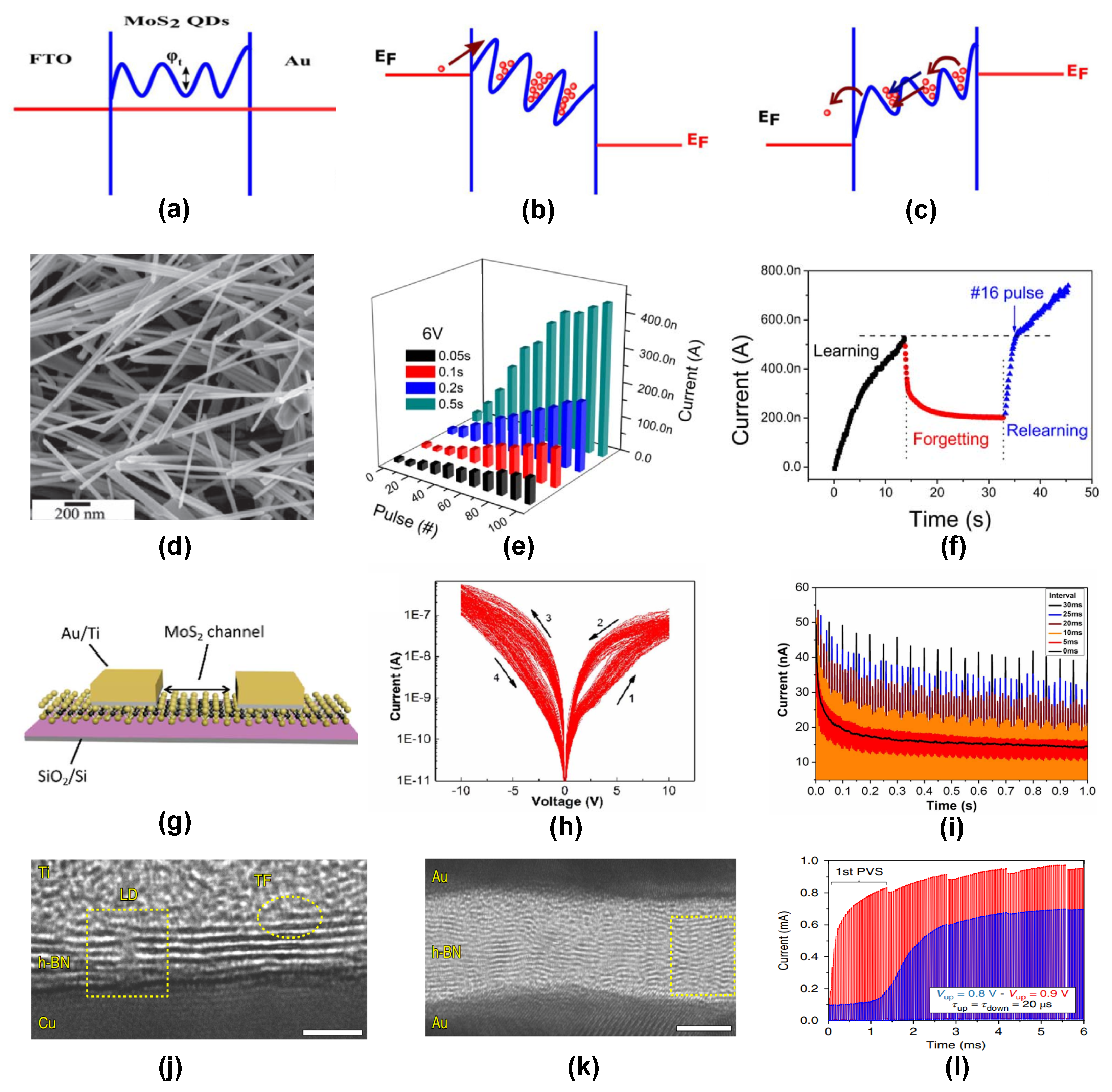 Nanomaterials 14 00527 g006