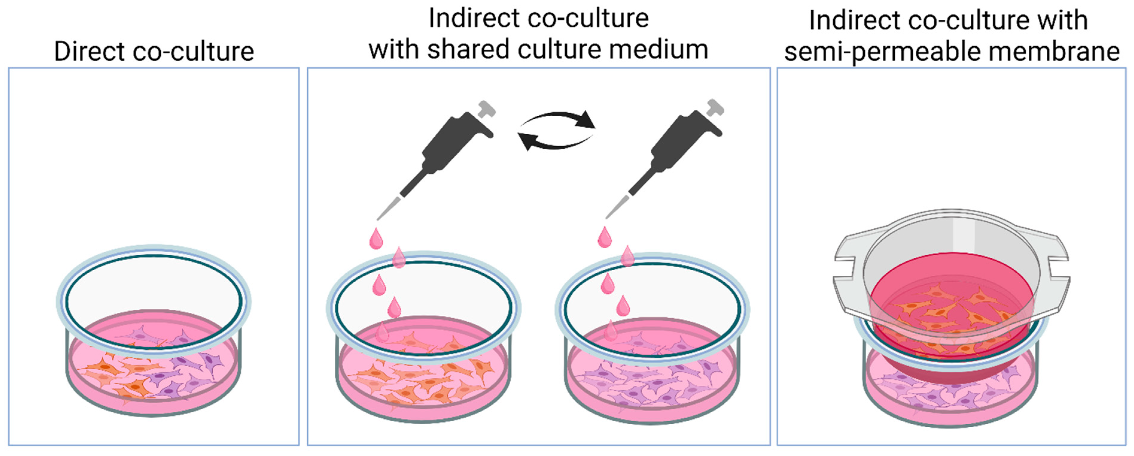 Nanomaterials 14 00531 g001 Nanomaterials 14 00531 g001