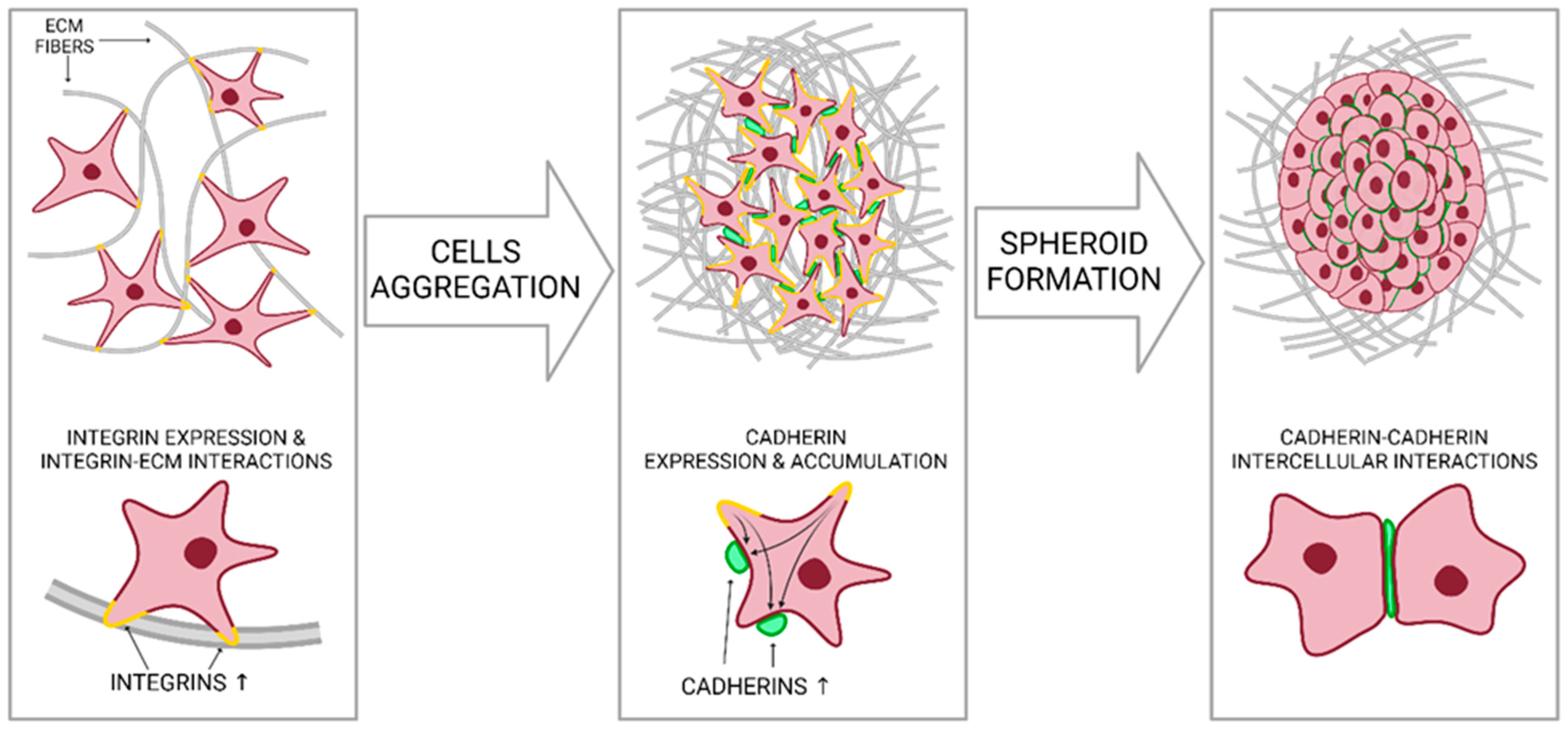 Nanomaterials 14 00531 g002 Nanomaterials 14 00531 g002