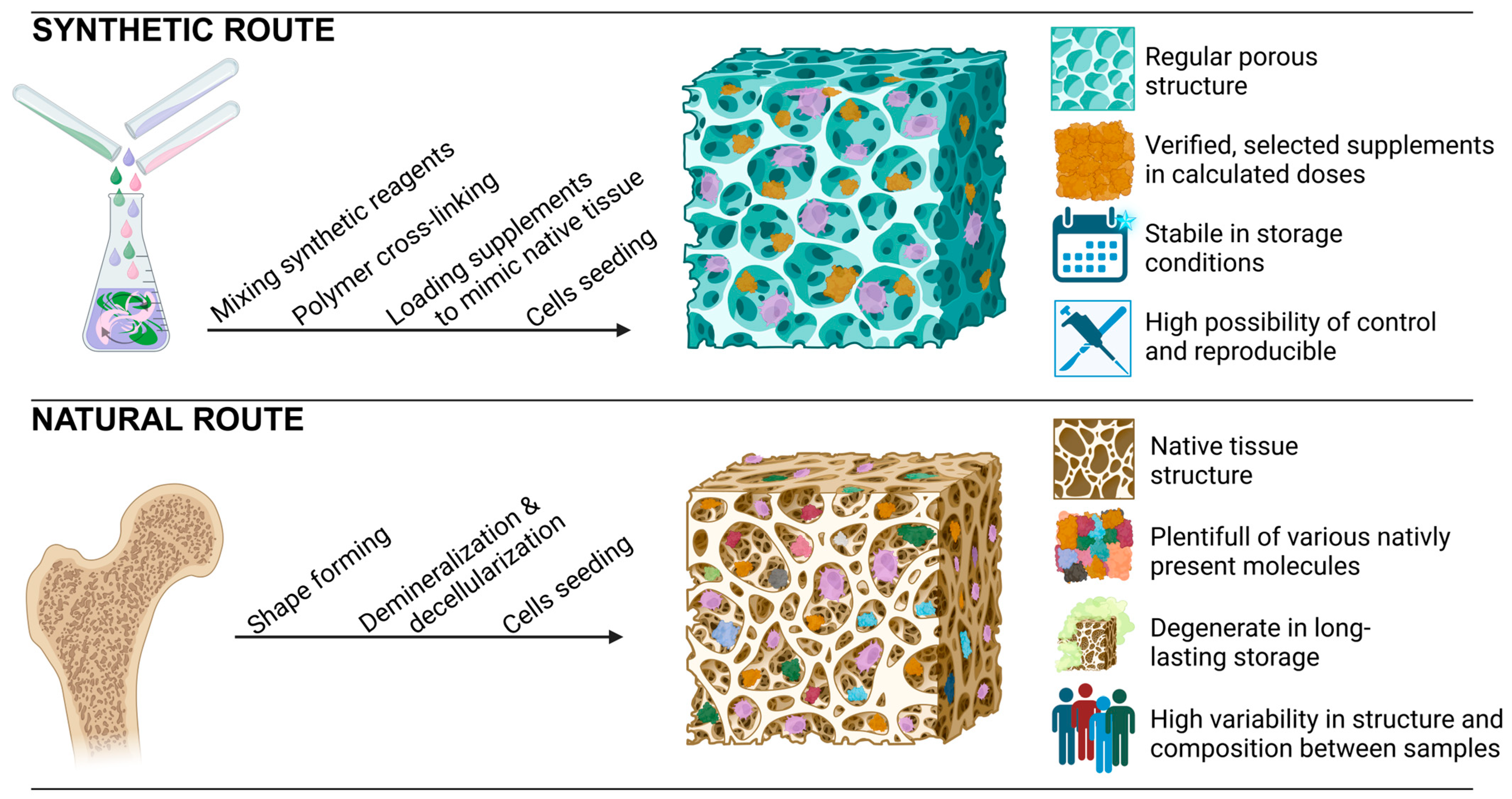 Nanomaterials 14 00531 g004 Nanomaterials 14 00531 g004