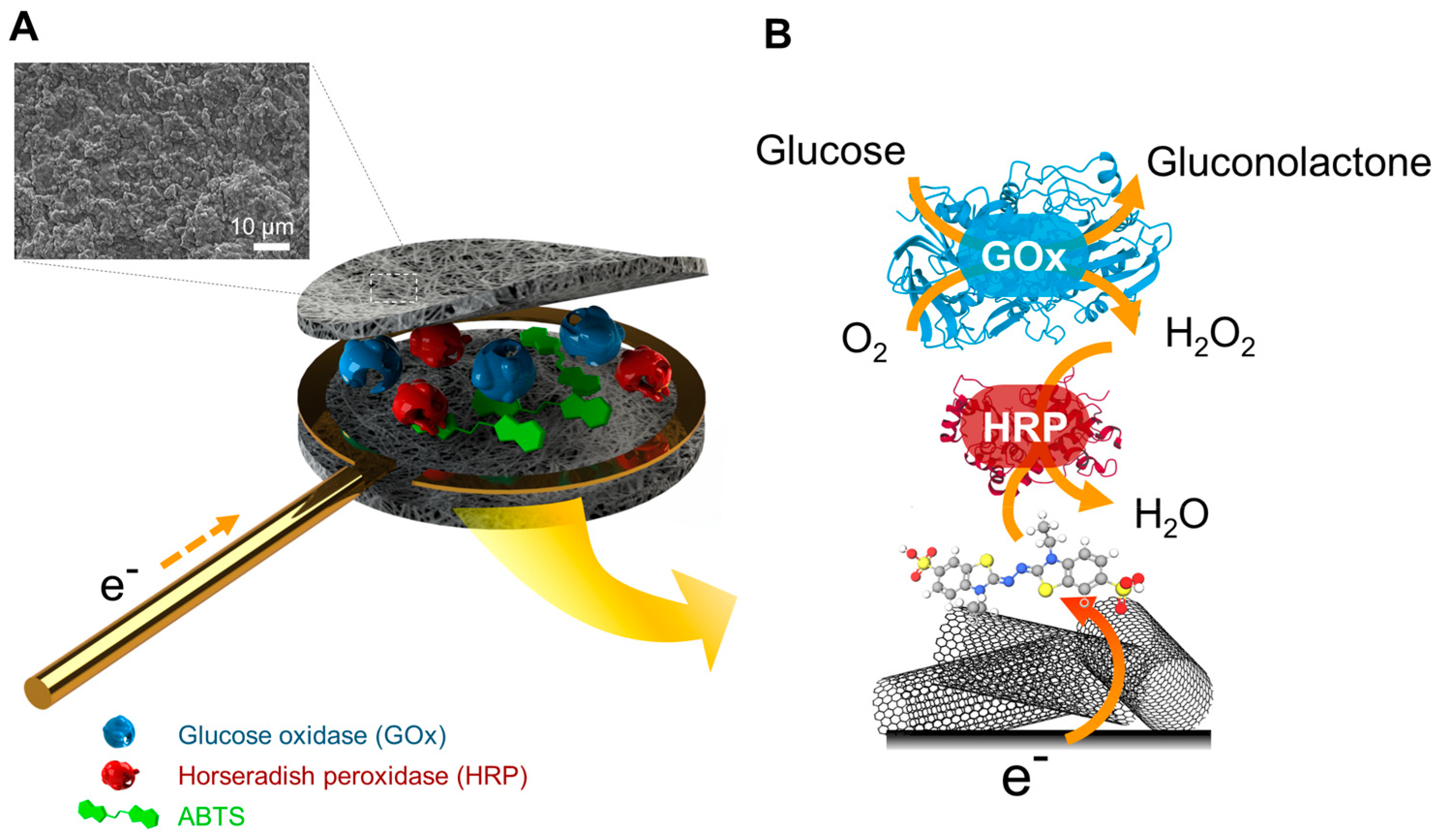 Nanomaterials 14 00545 g001