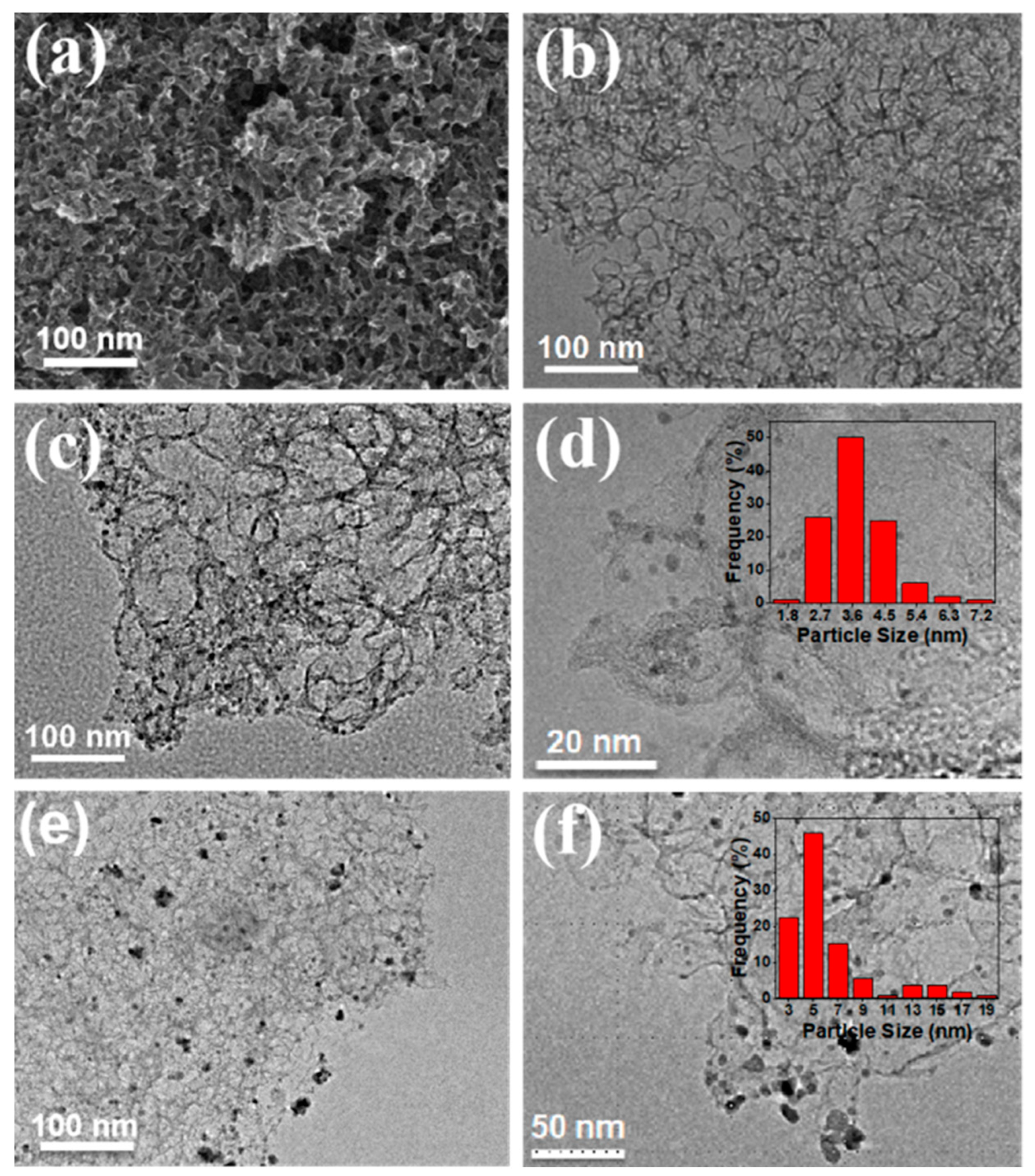 Nanomaterials 14 00549 g001