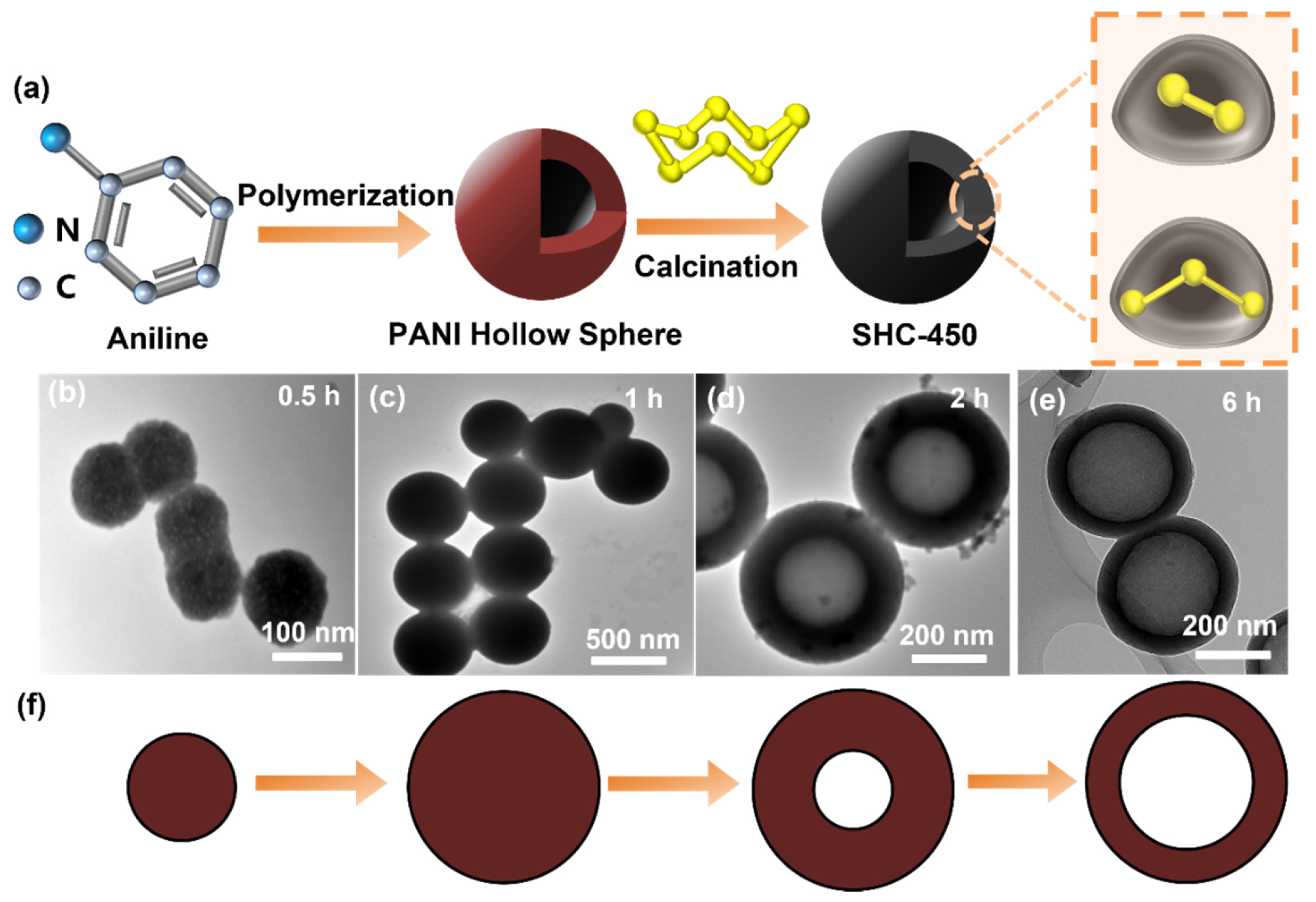 Nanomaterials 14 00550 g001