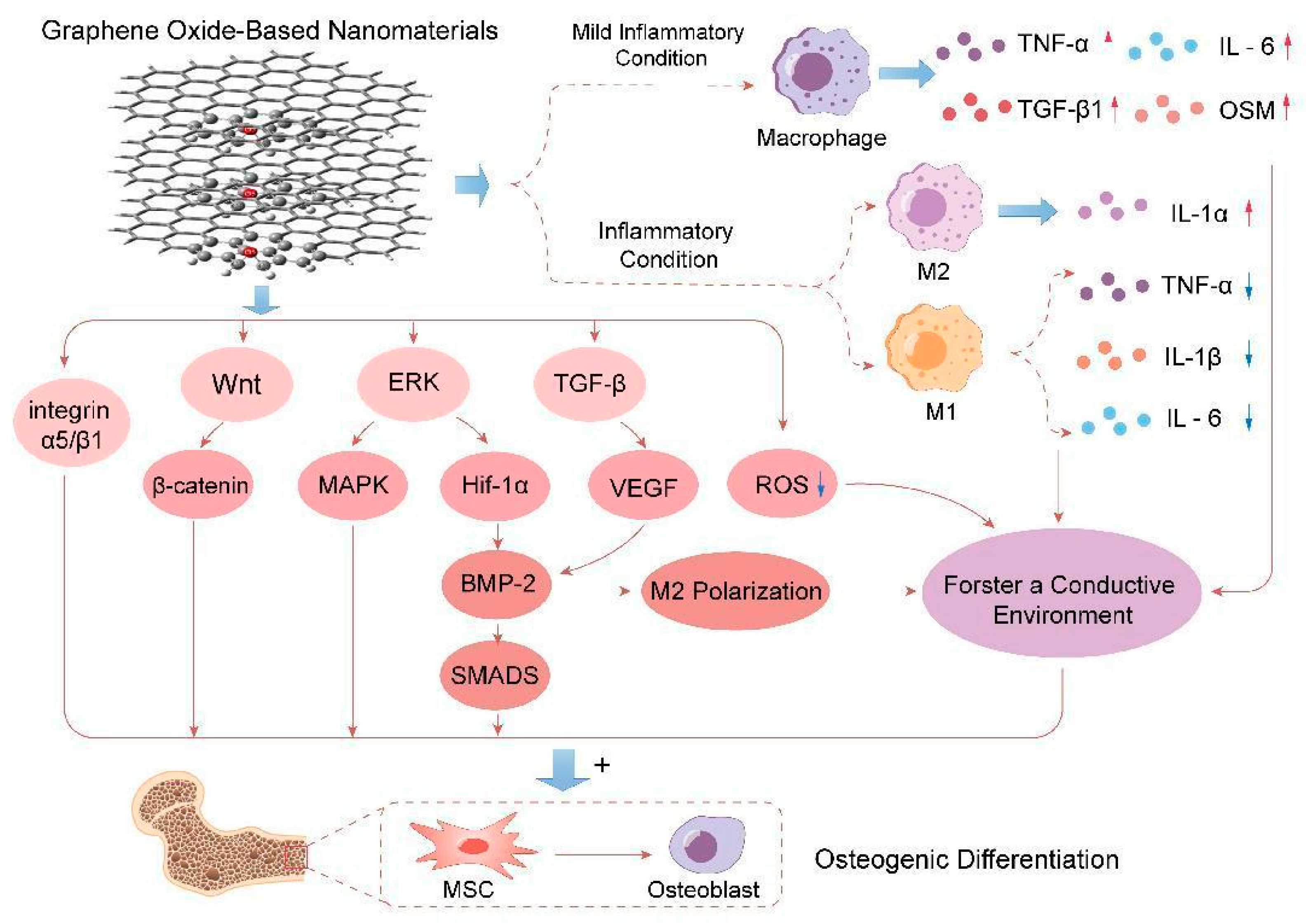 Nanomaterials 14 00553 g003