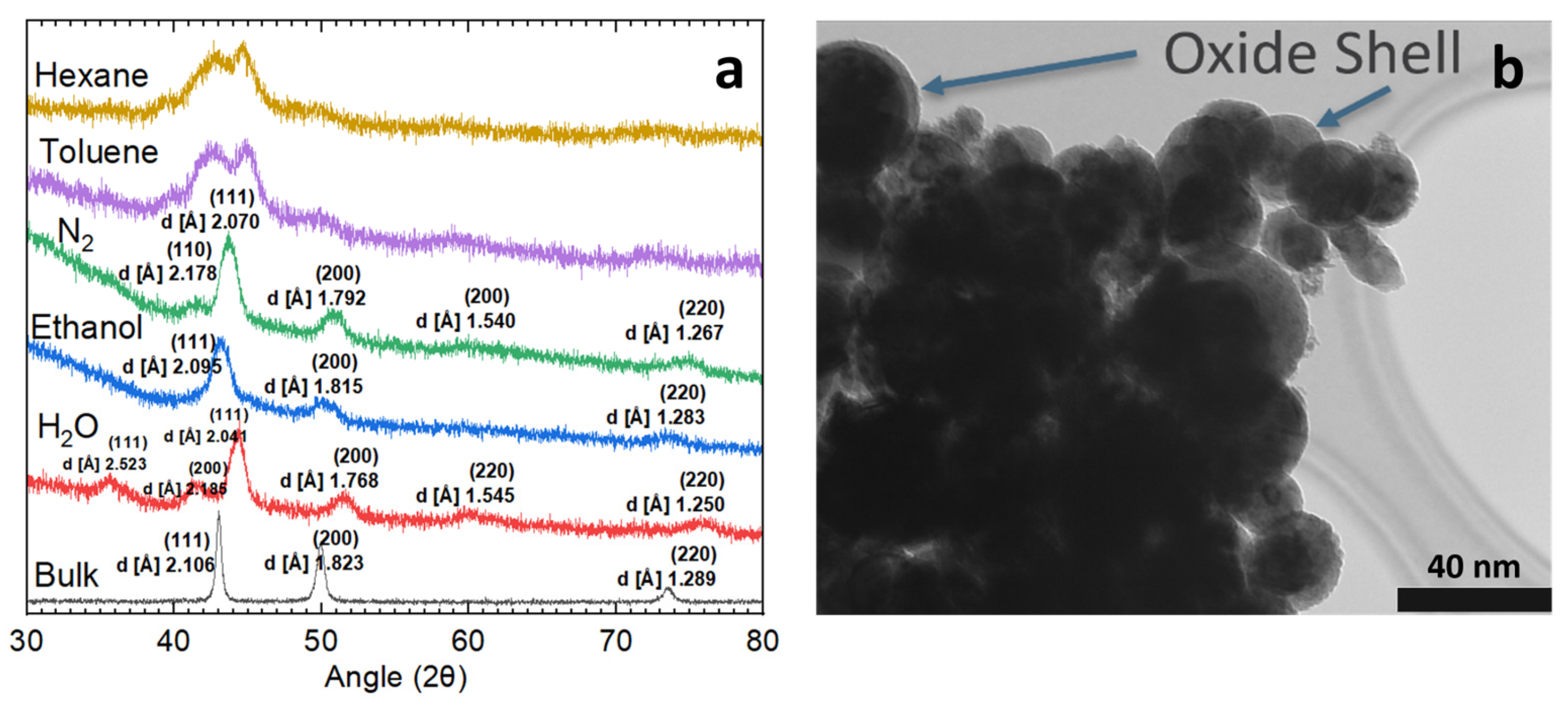 Nanomaterials 14 00554 g002